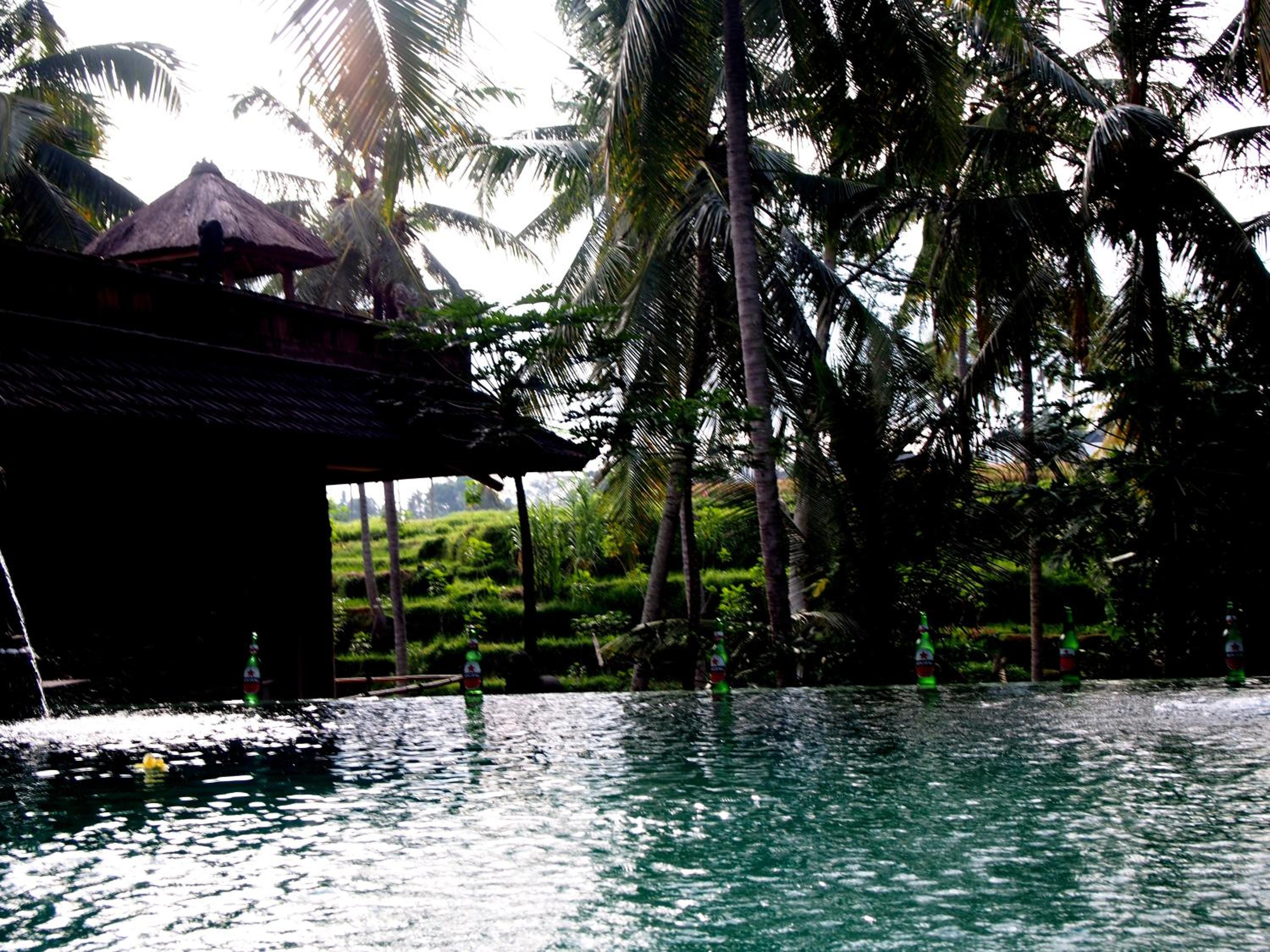 Junjungan Suite