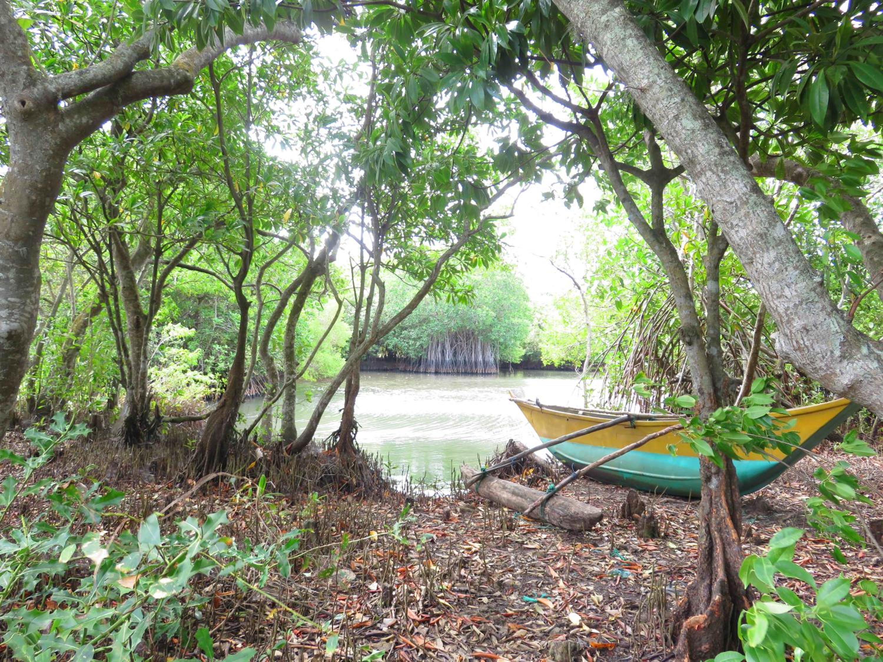 Beach Lagoon Guesthouse