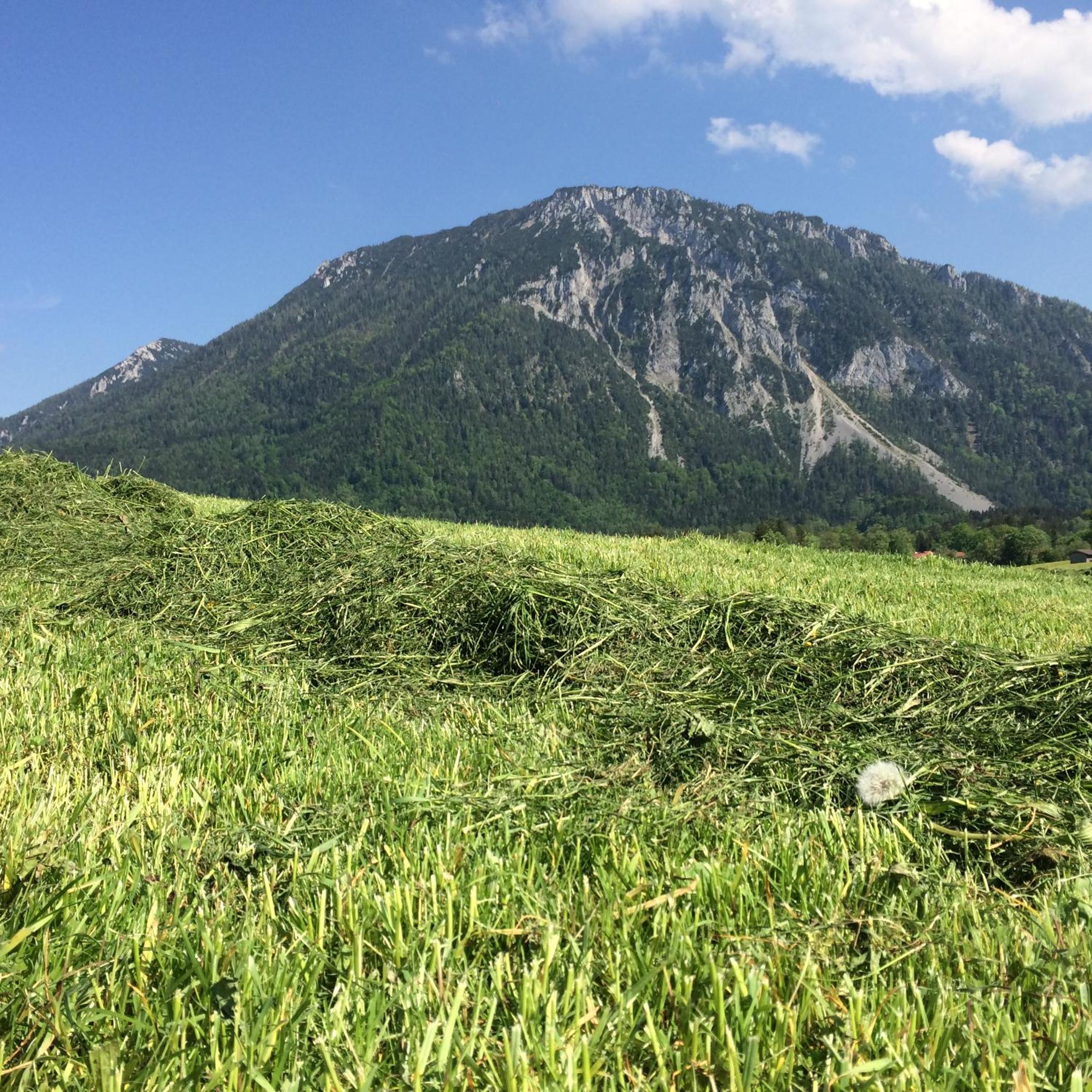 Schifterhof Ruhpolding view 2