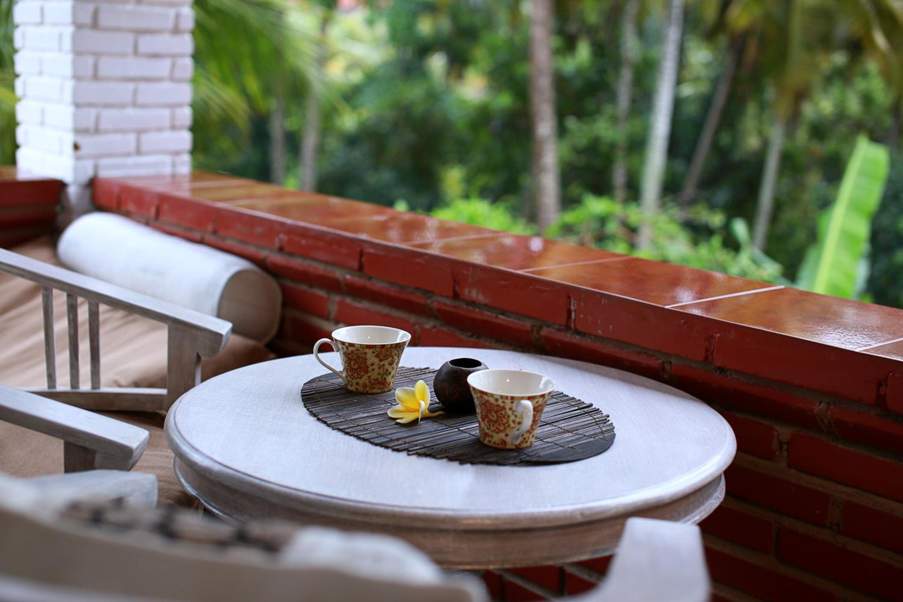Danaya's Cottage and Studio view 2