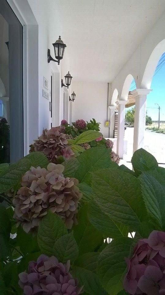 La Posada de los Robles
