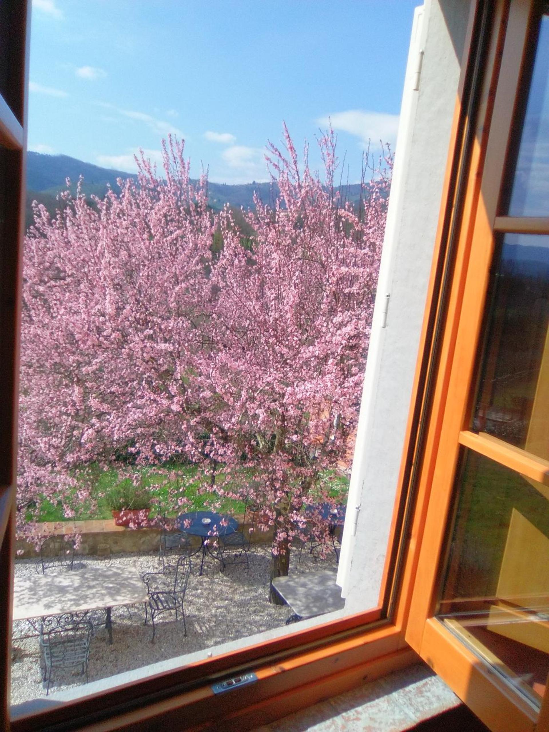 Amedea Tuscany Country Experience