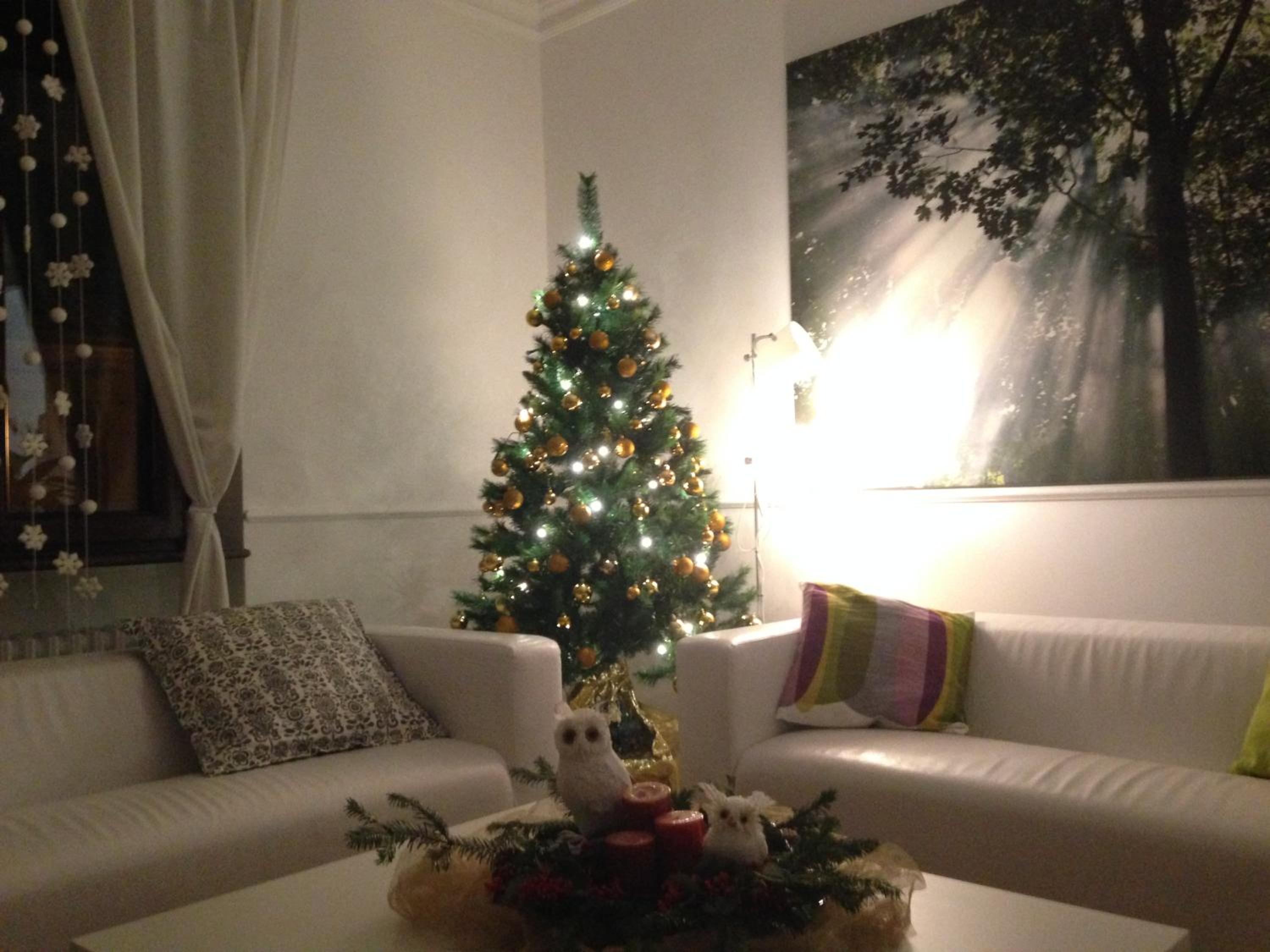 Photo 57
