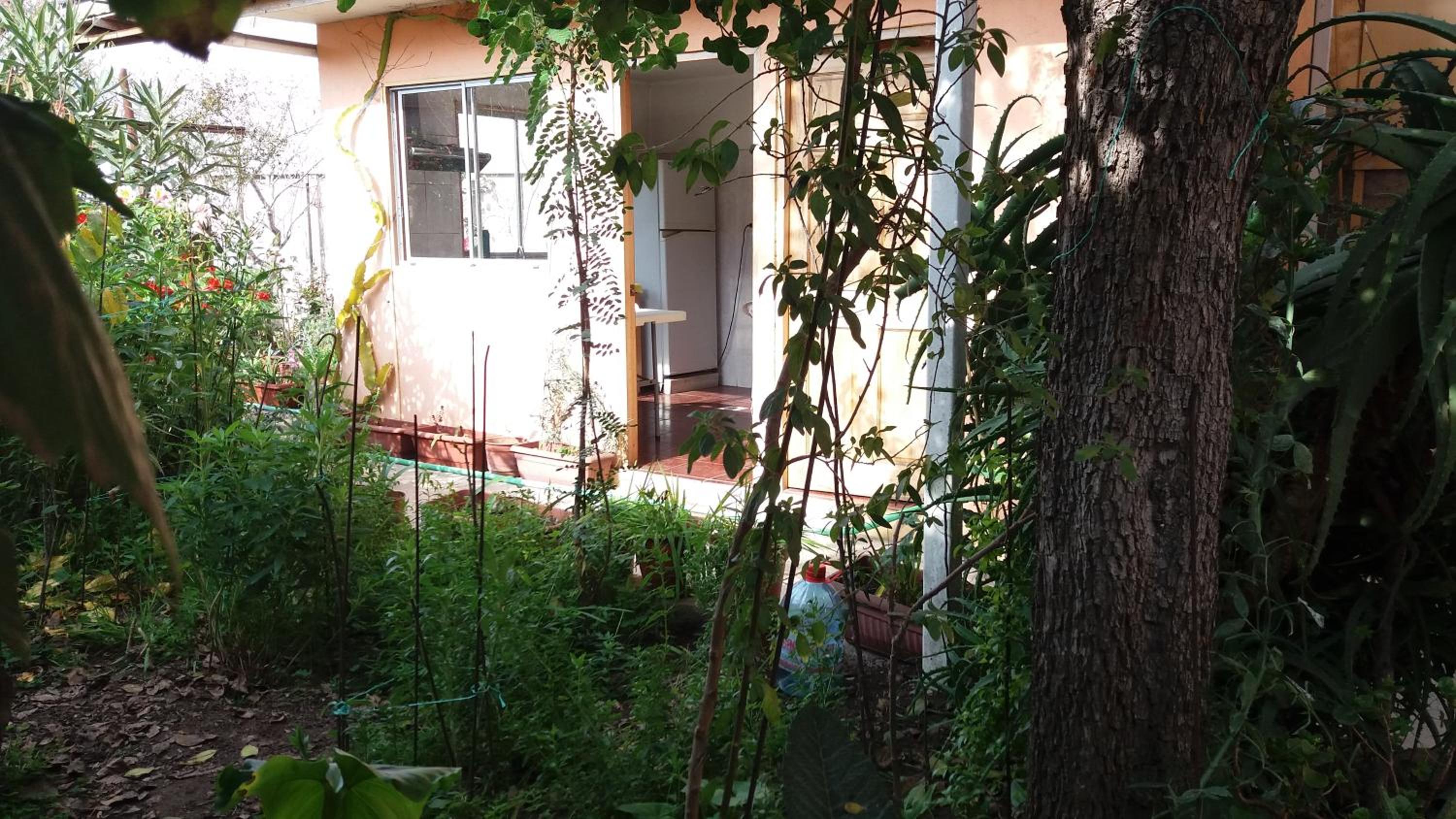 Piezas con Baño Privado Economicas