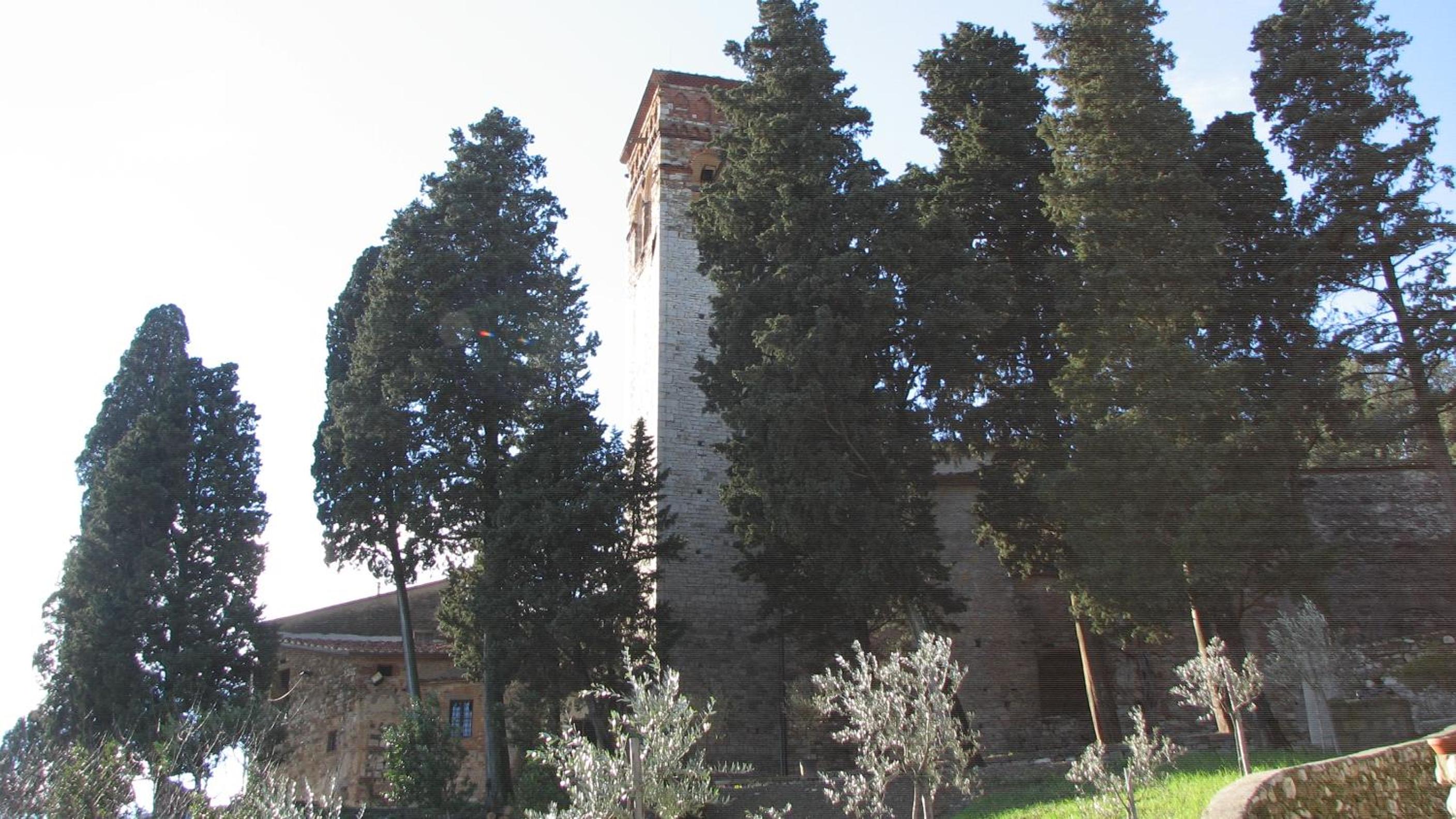 Photo 35