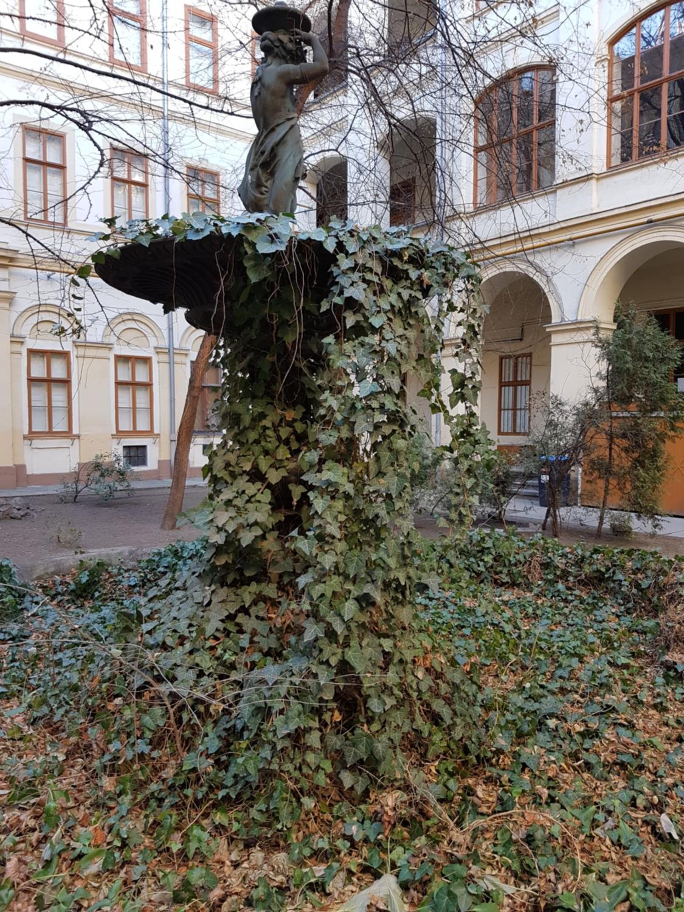 Photo 26