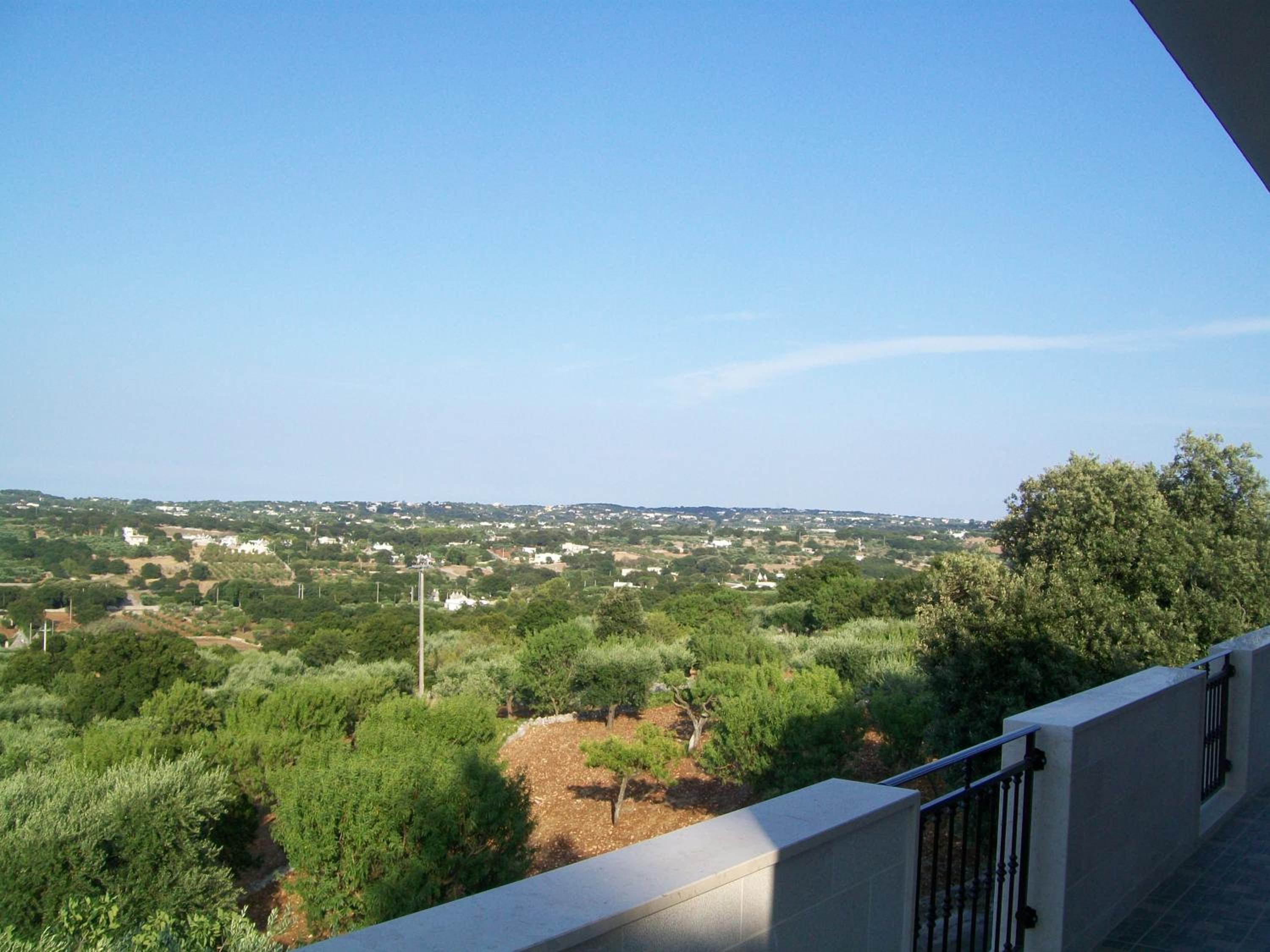 Photo 44