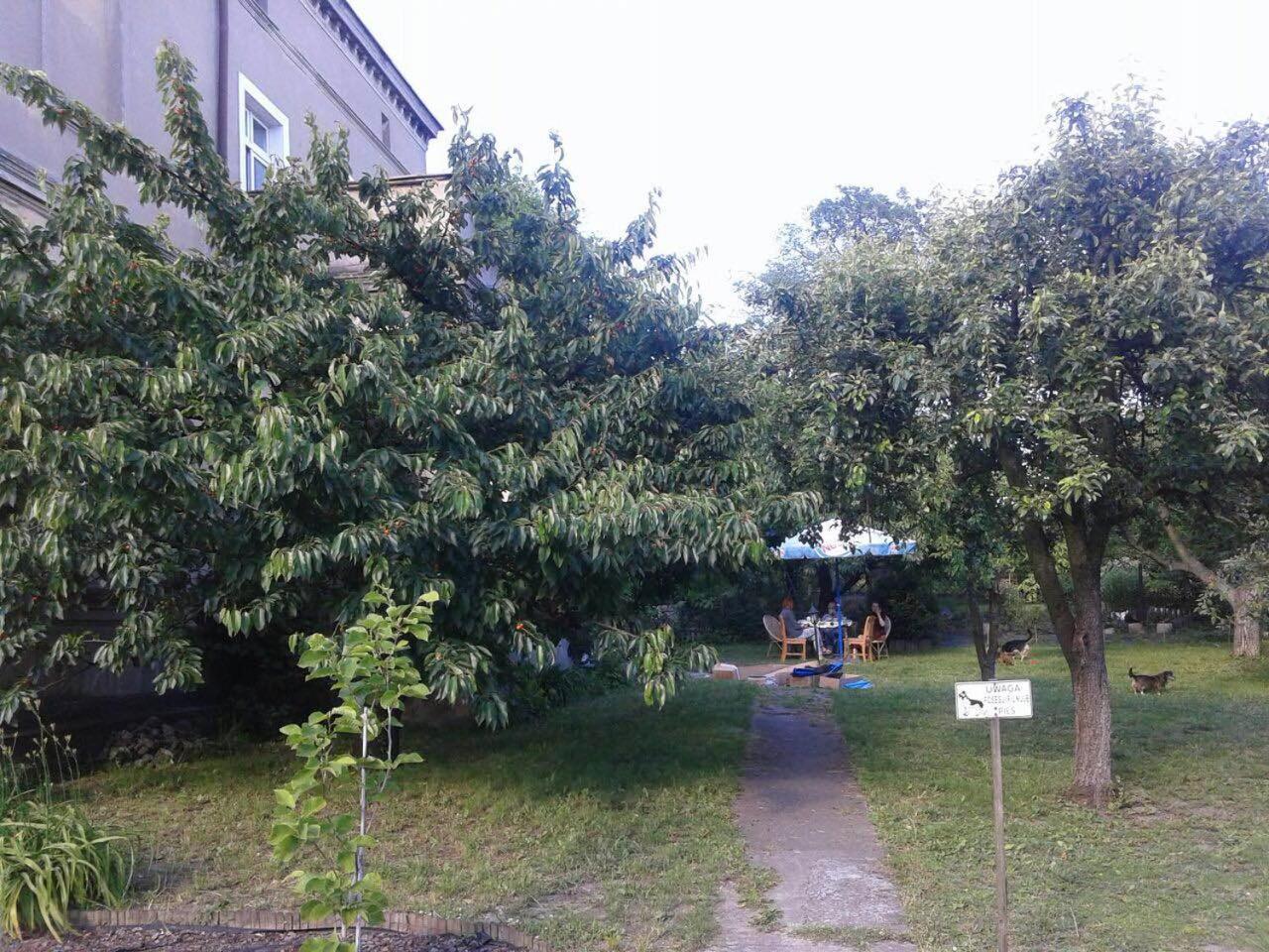 Przyjazne mieszkanie na Starym Miescie view 2