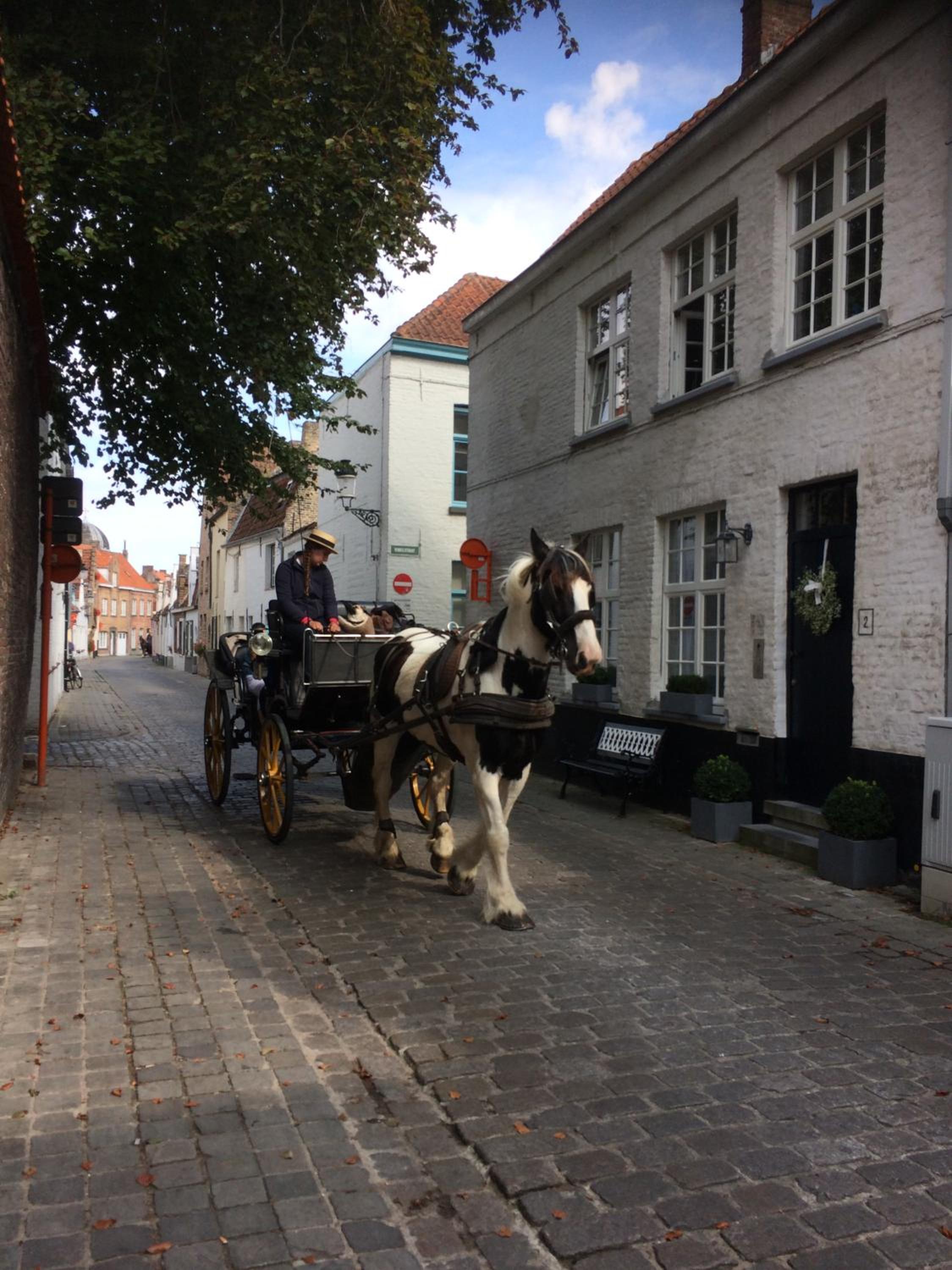 Comfort Equipped Guestsuite Lady Anna Bruges