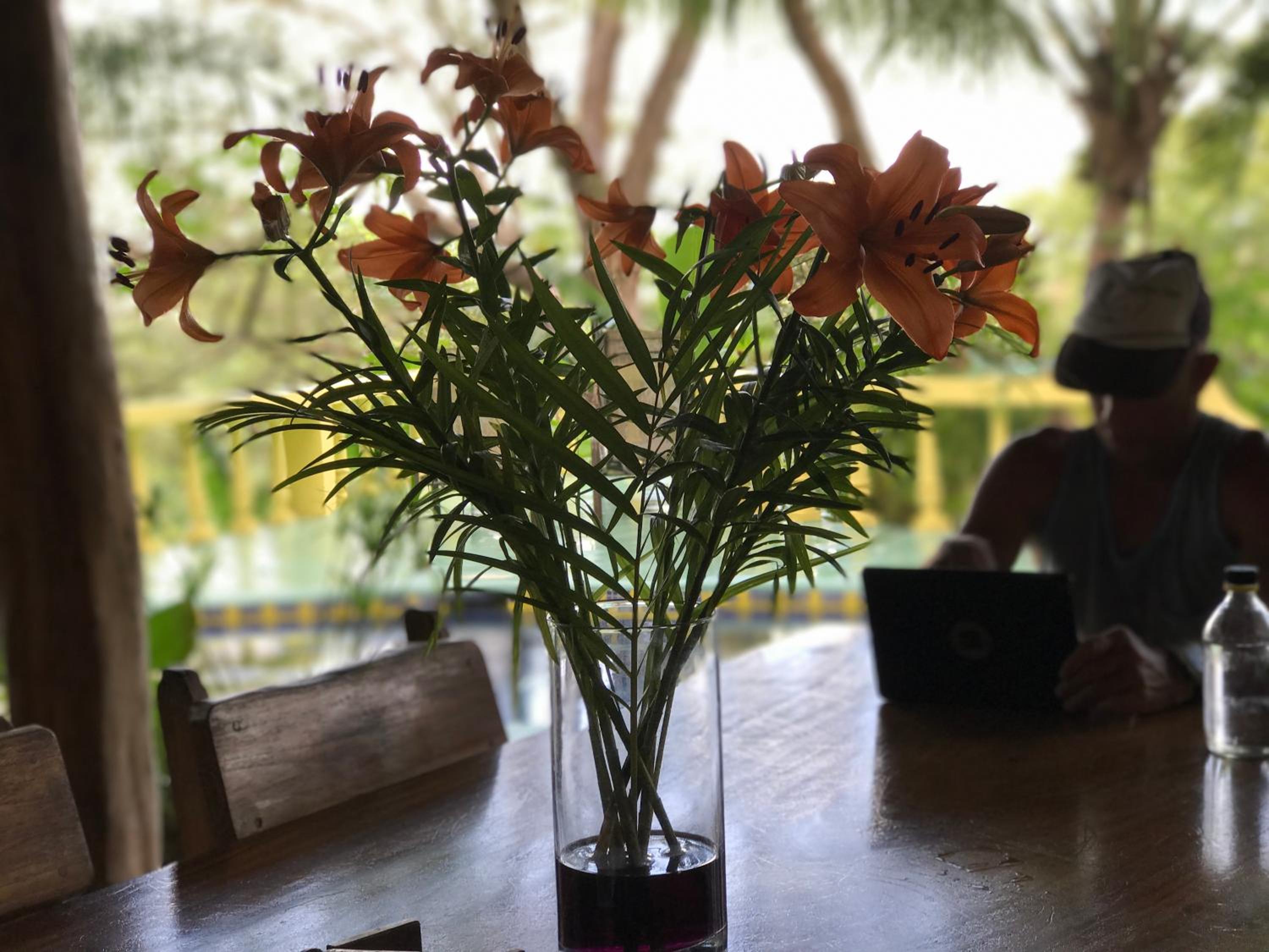 Nosara Sunrise Bed and Breakfast