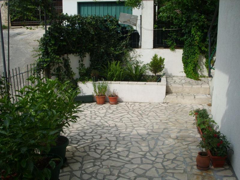 Photo 51