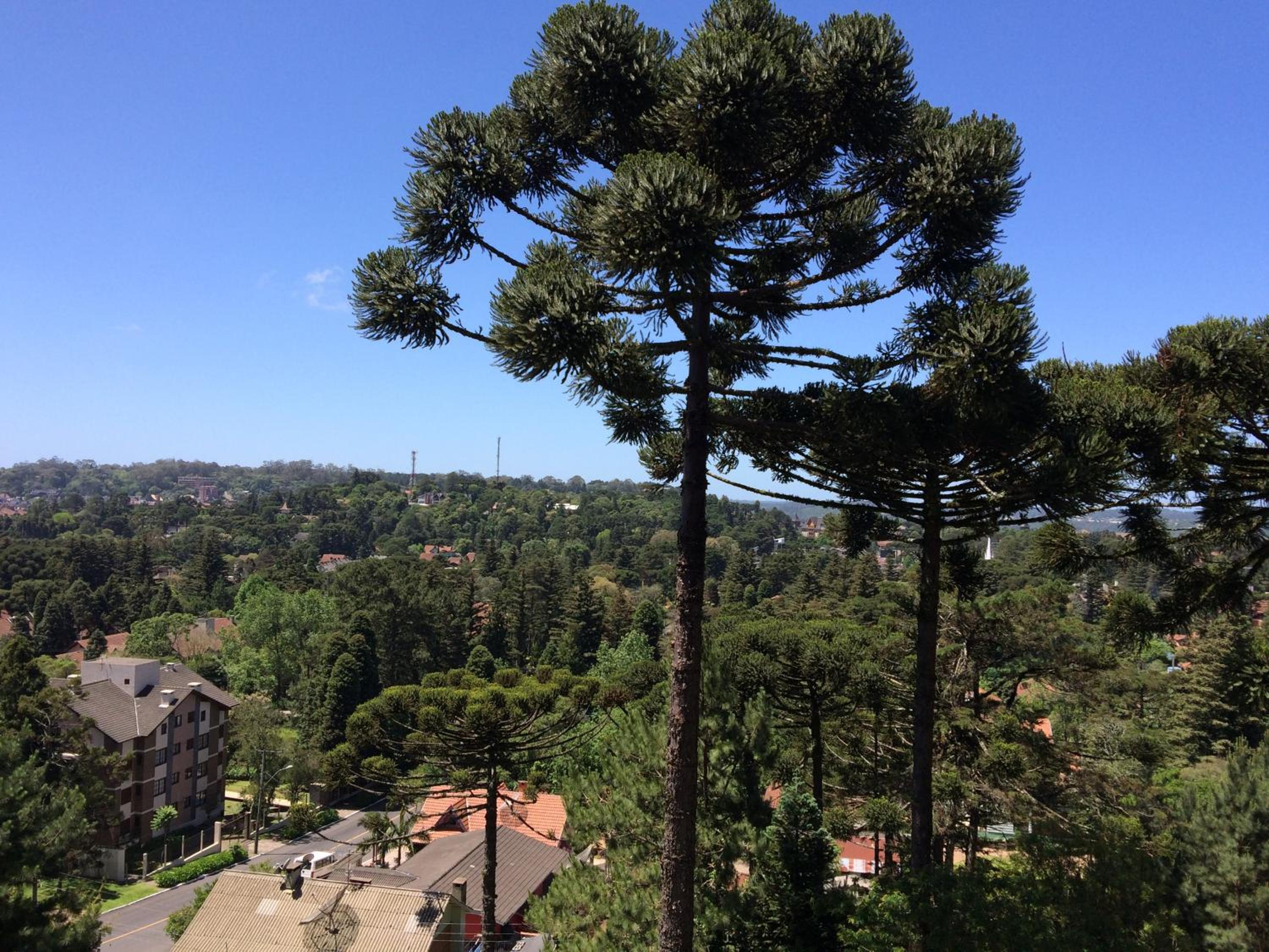 Apartamento Orsi view 2