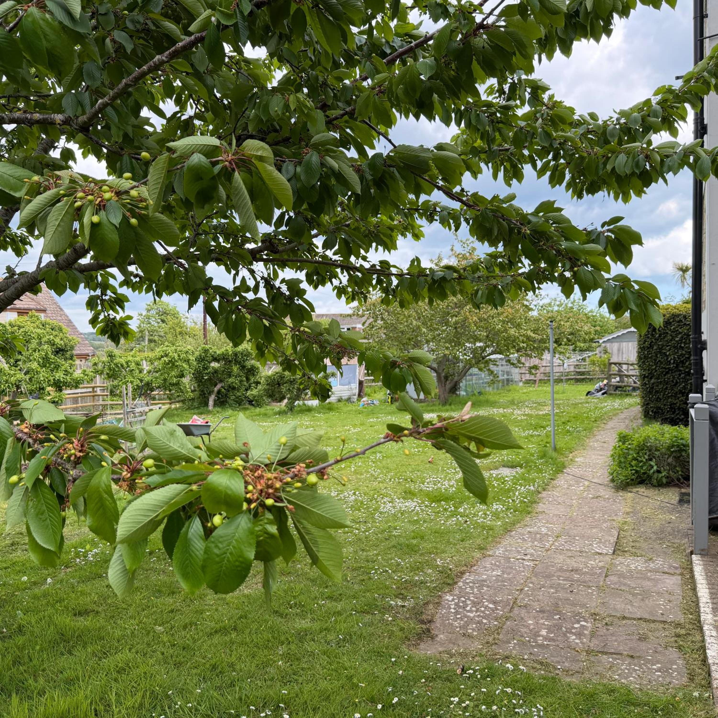 Photo 22