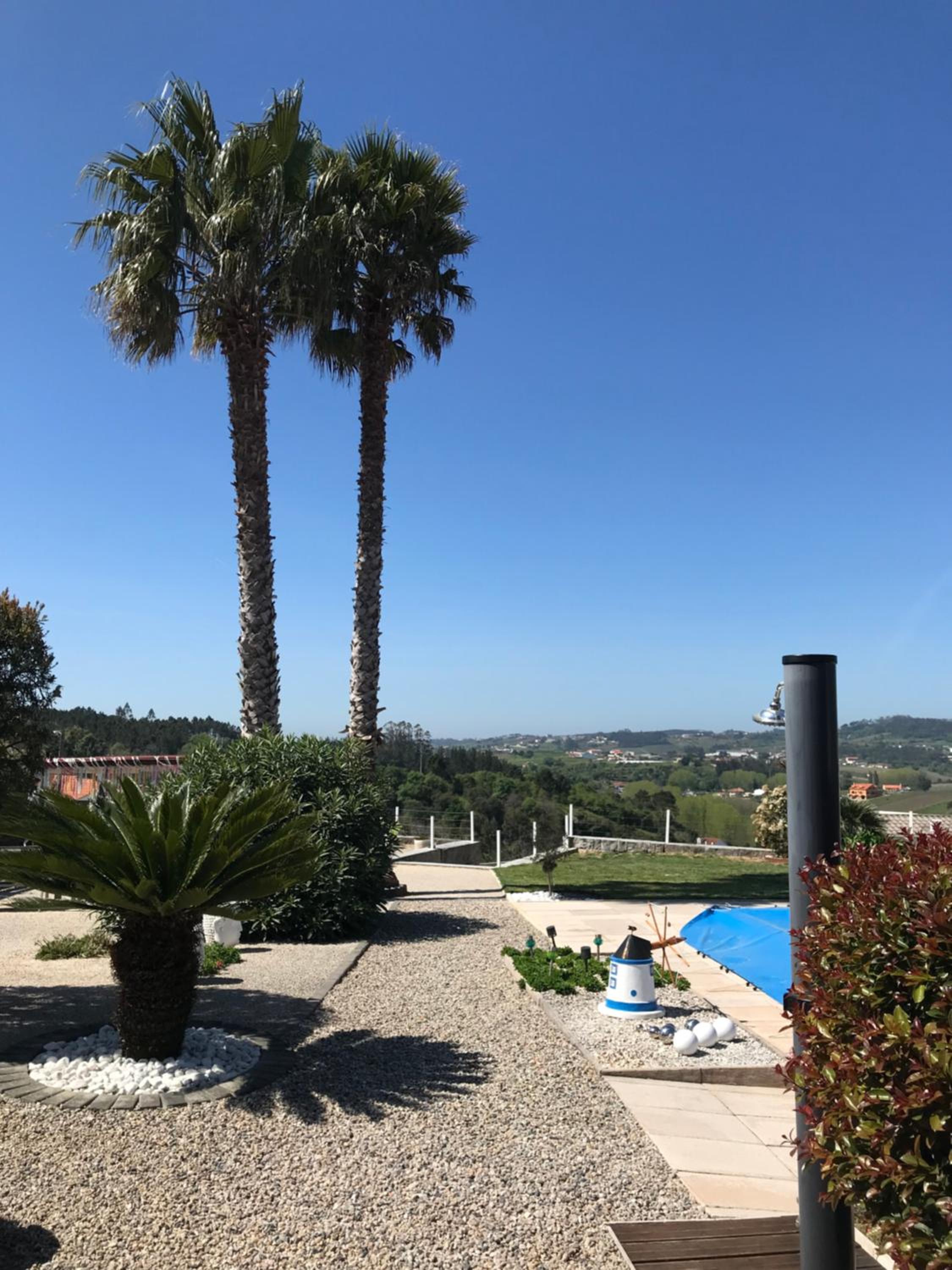 Photo 77