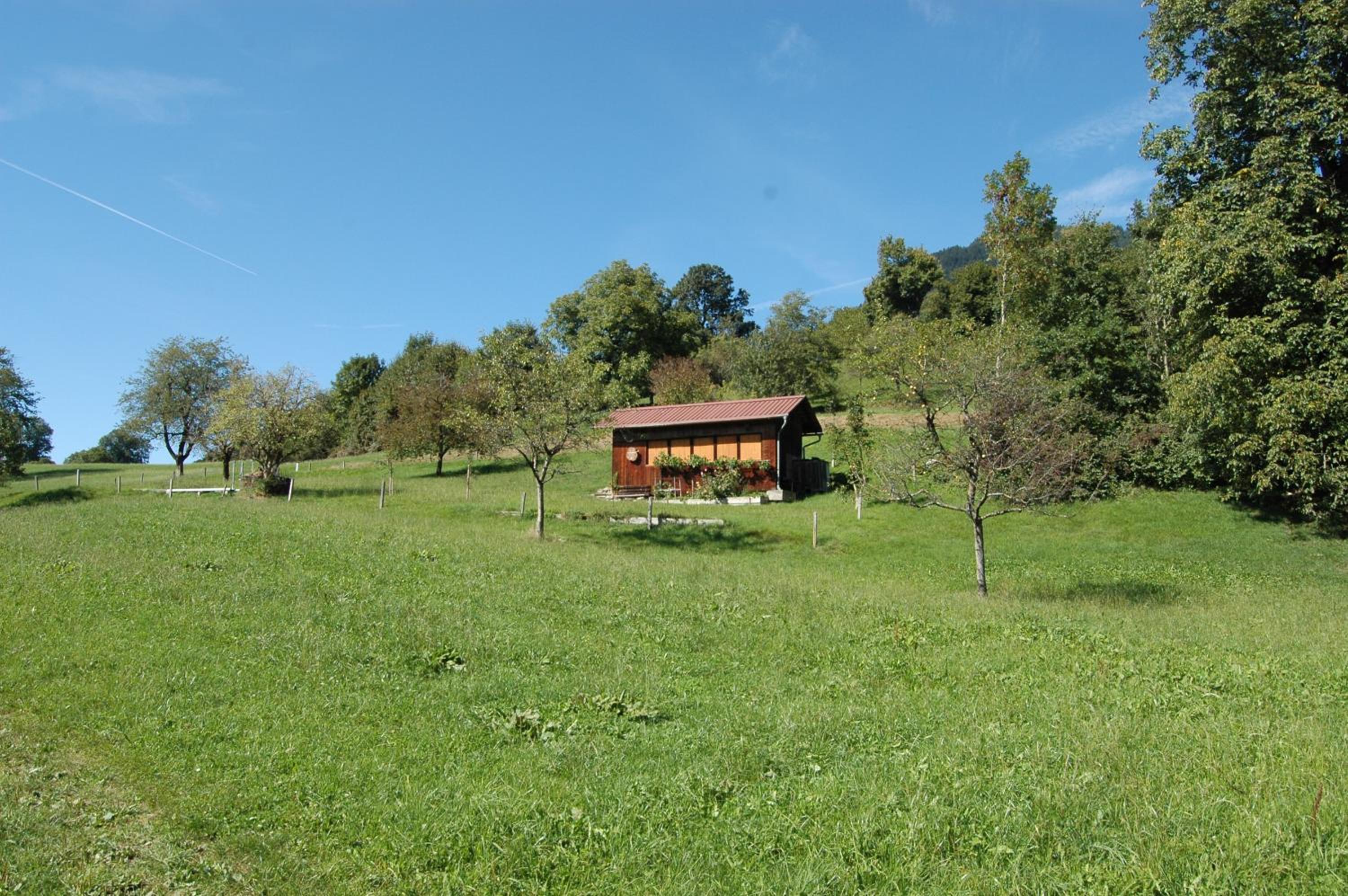 Photo 42