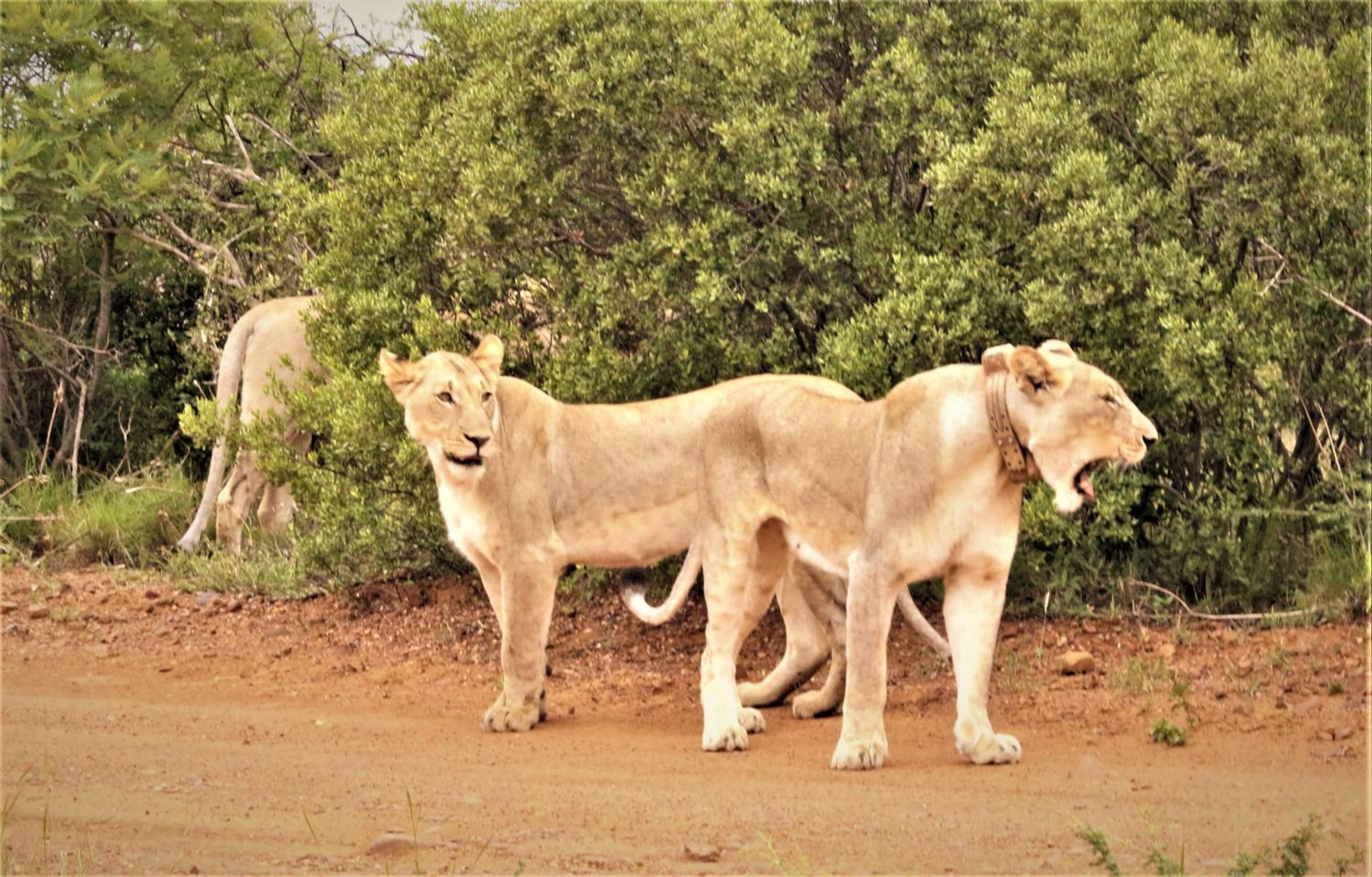 Photo 32