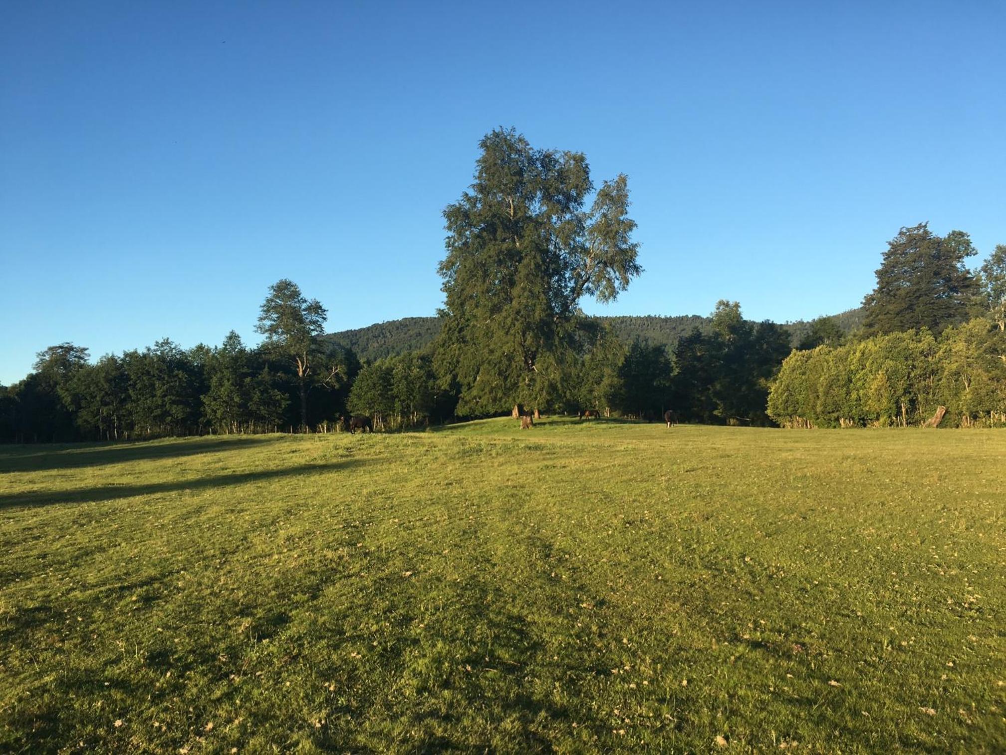 Parques de Afunalhue