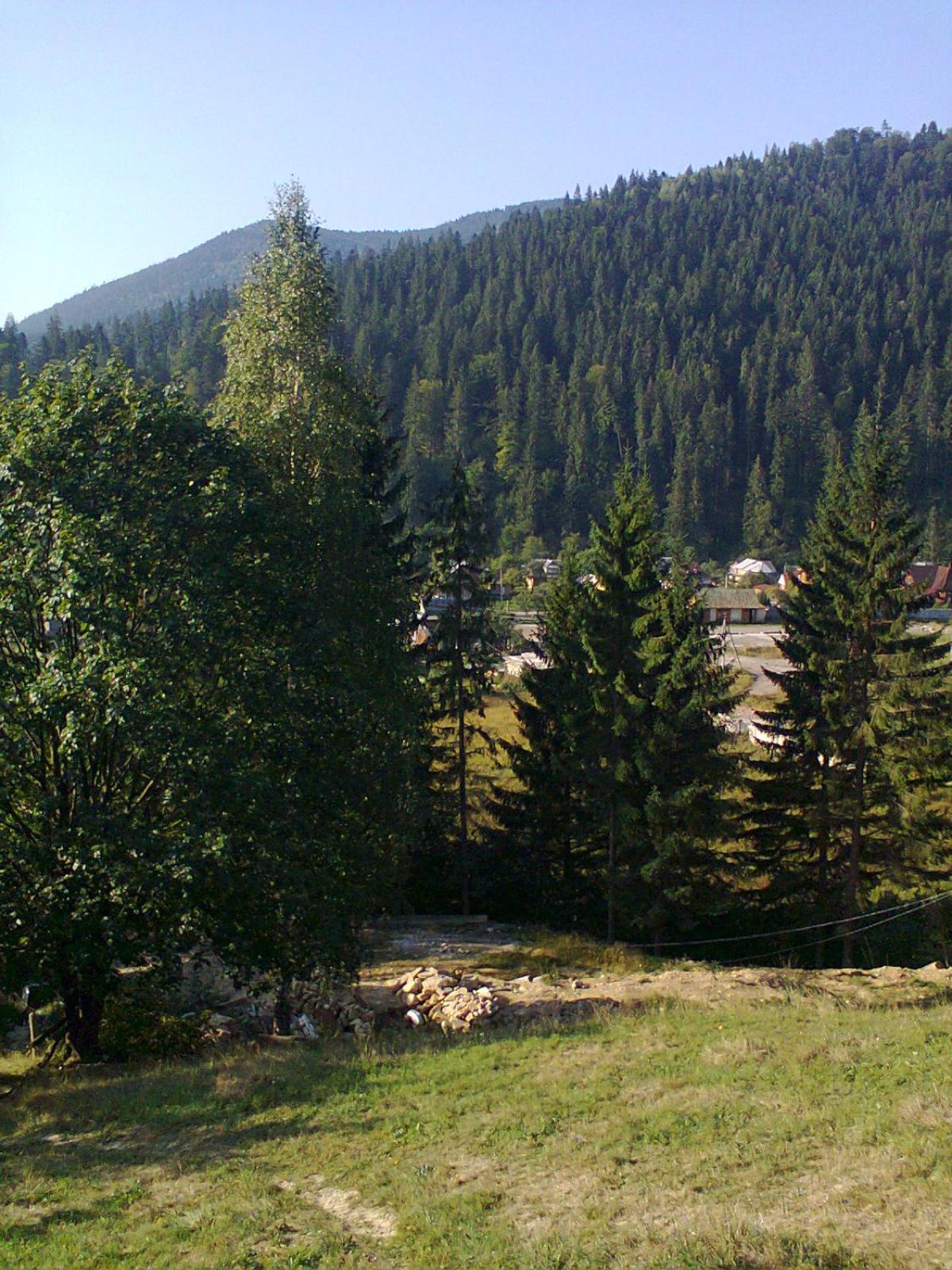 Photo 40