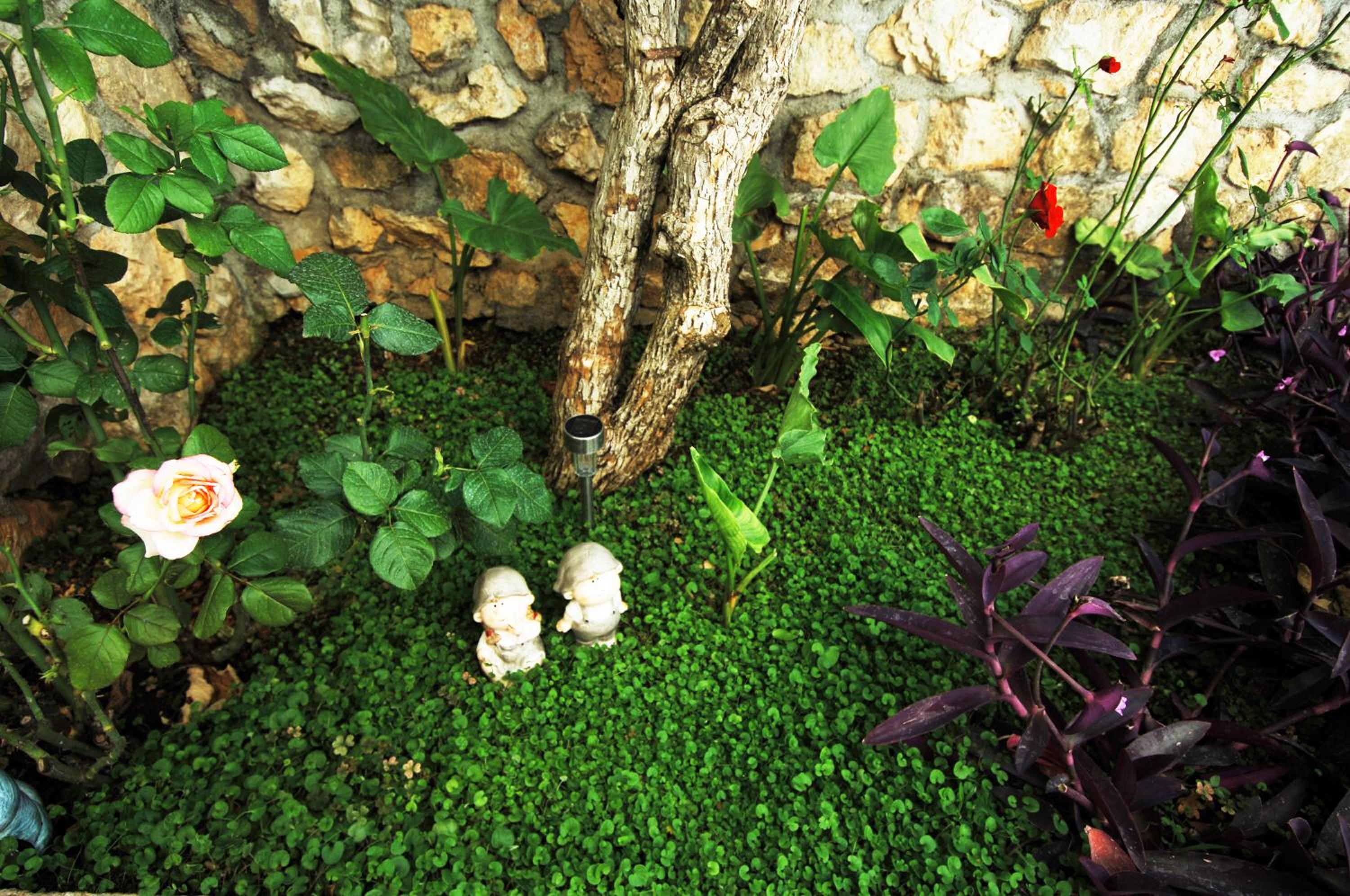 Photo 24