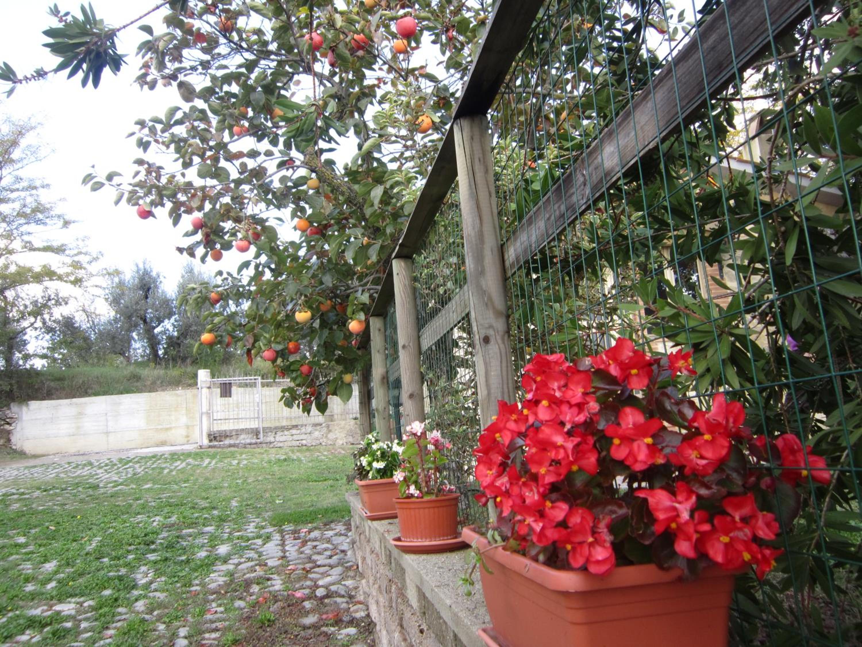 Photo 15