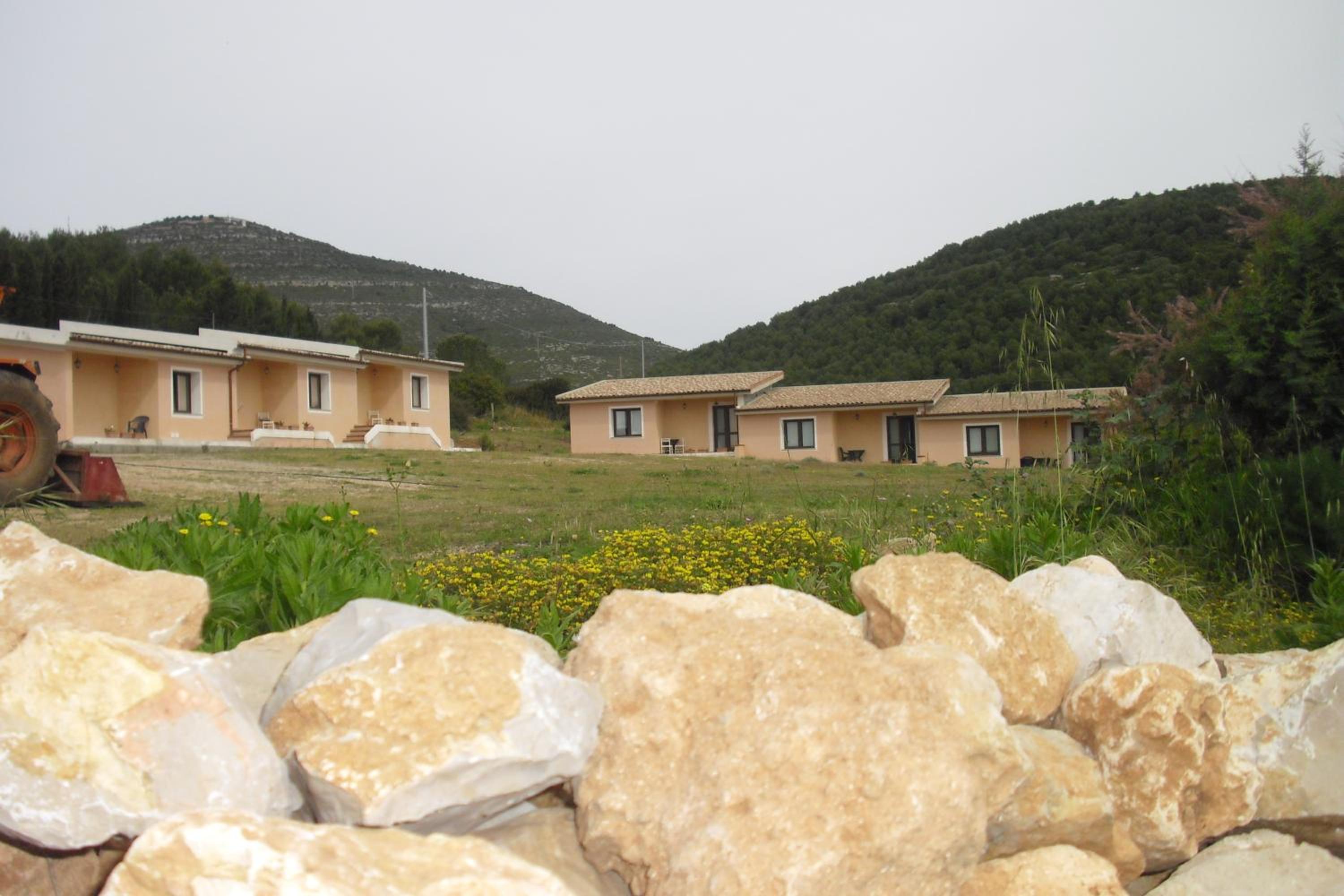 Photo 24