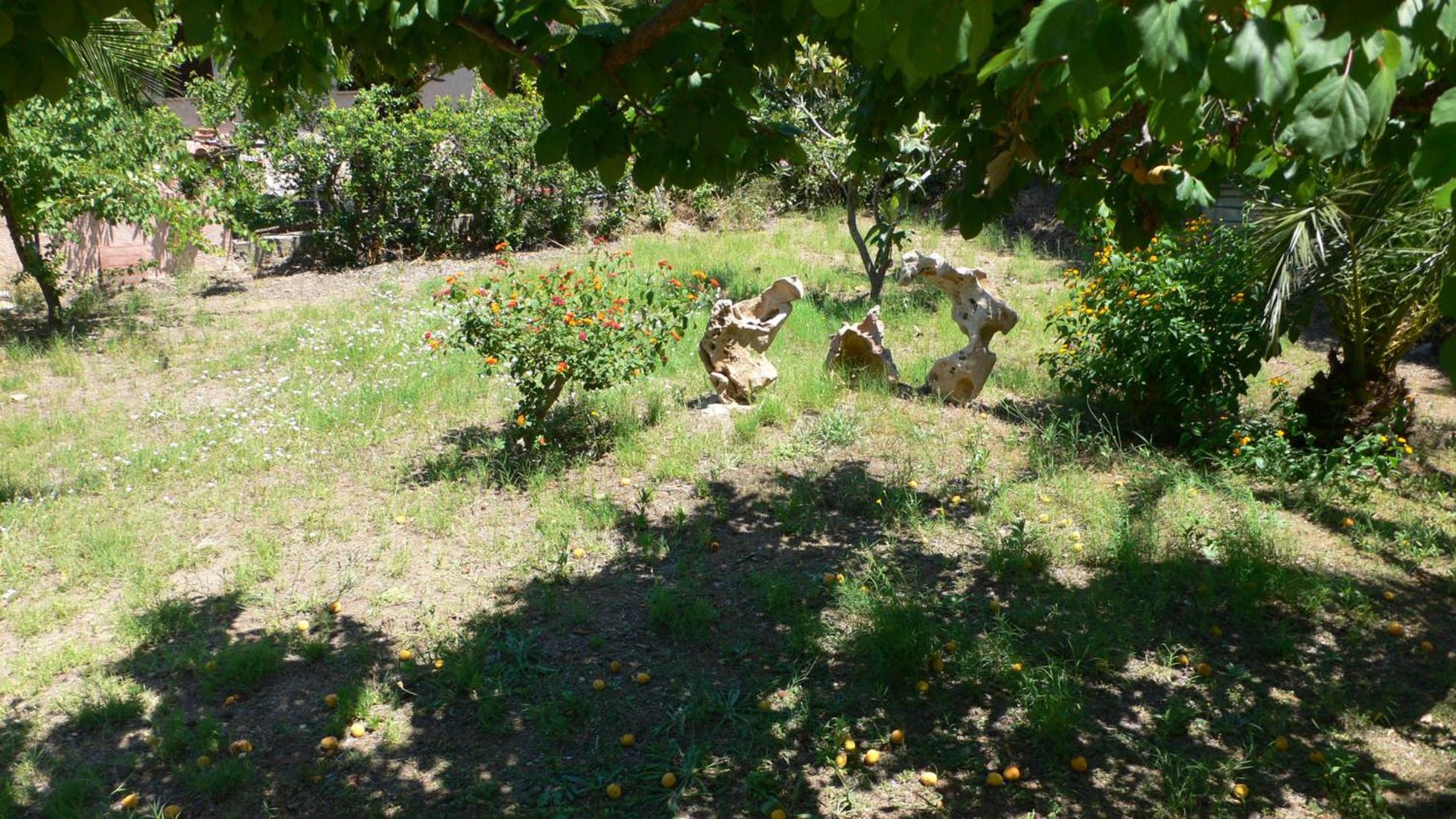 Photo 46