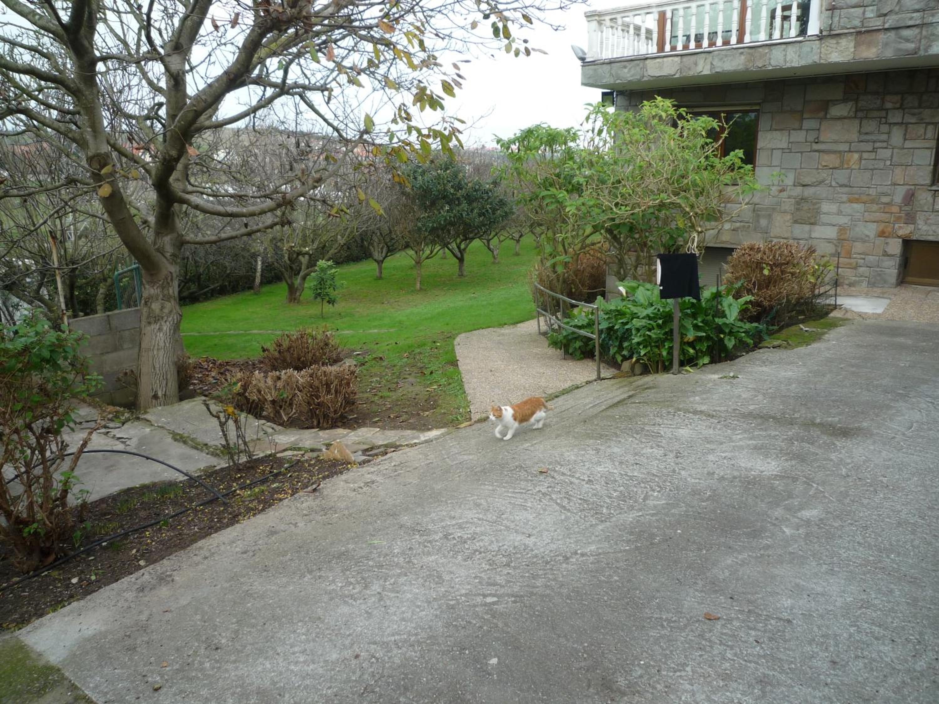 Photo 29