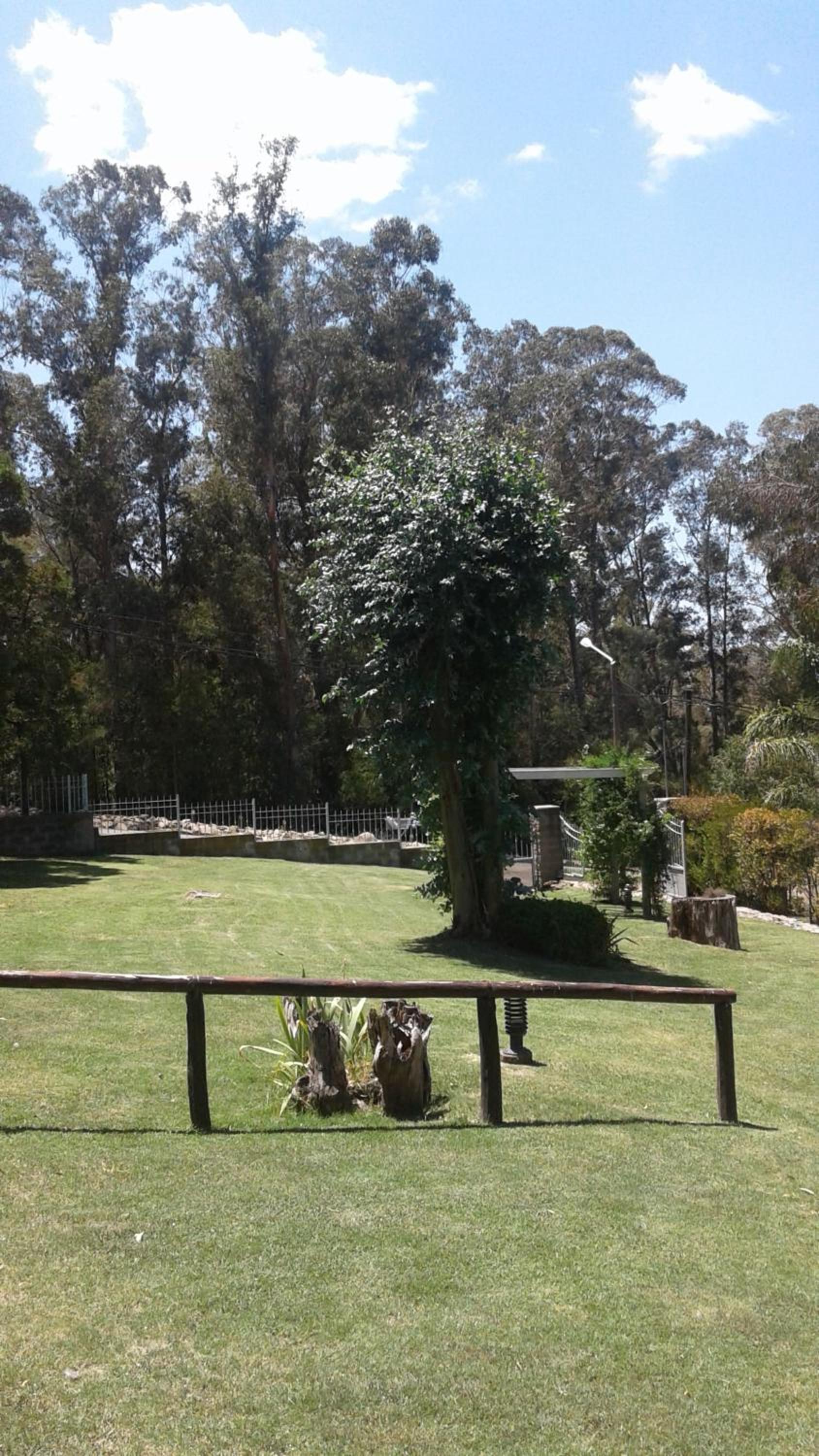 La Casa de Liber