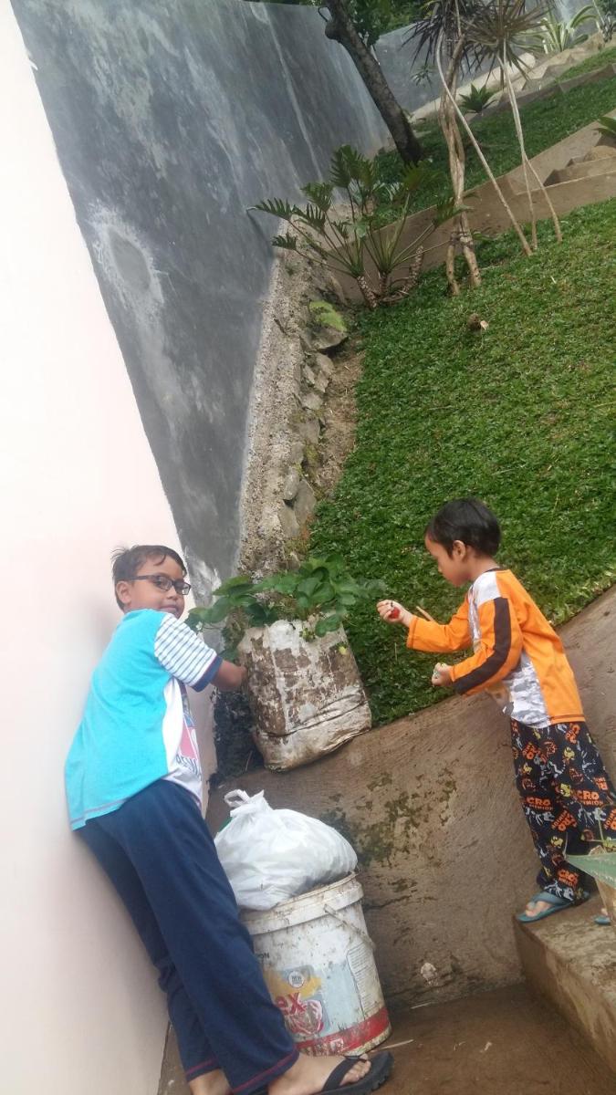 Photo 33
