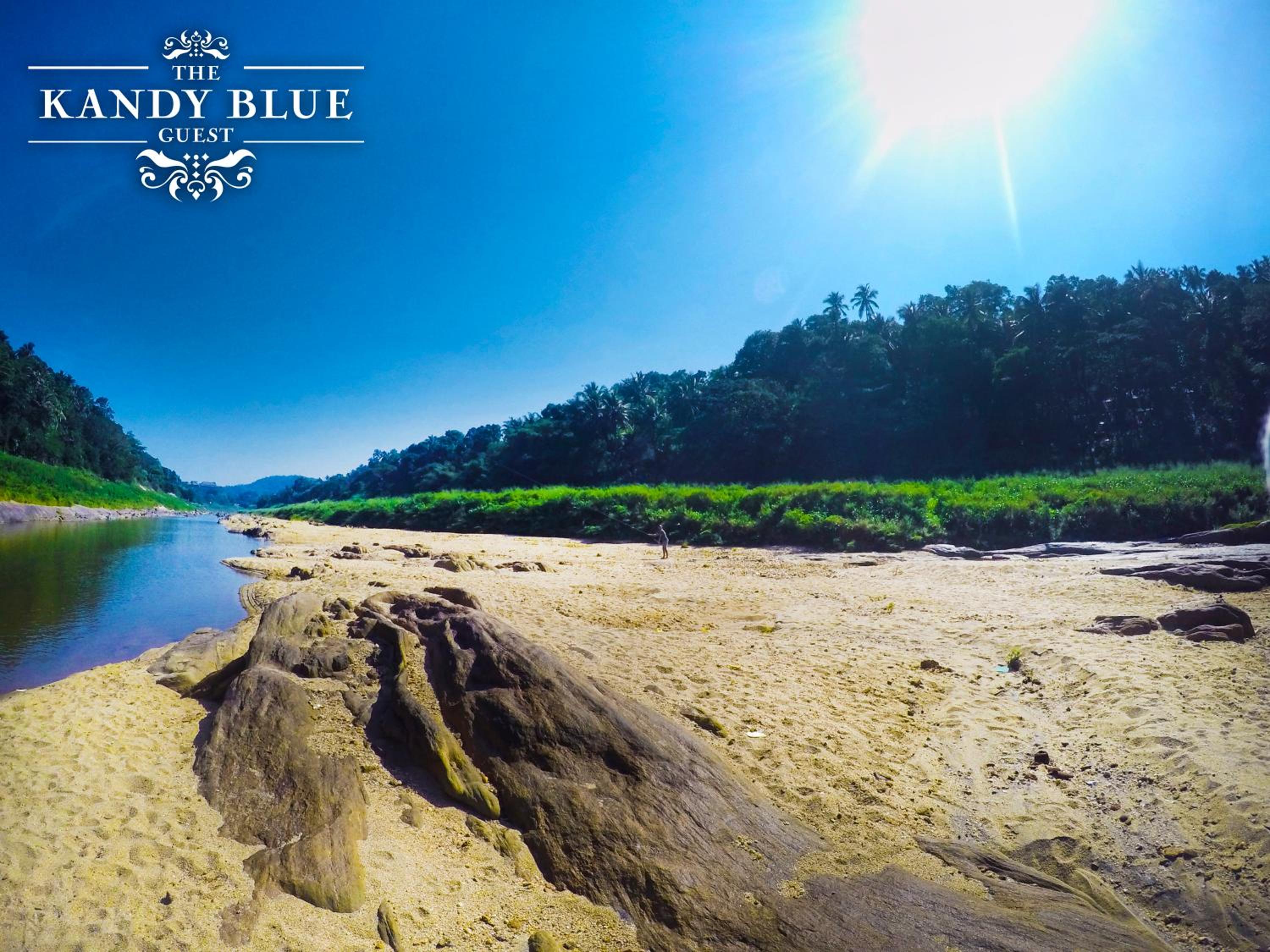 Kandy Blue view 3