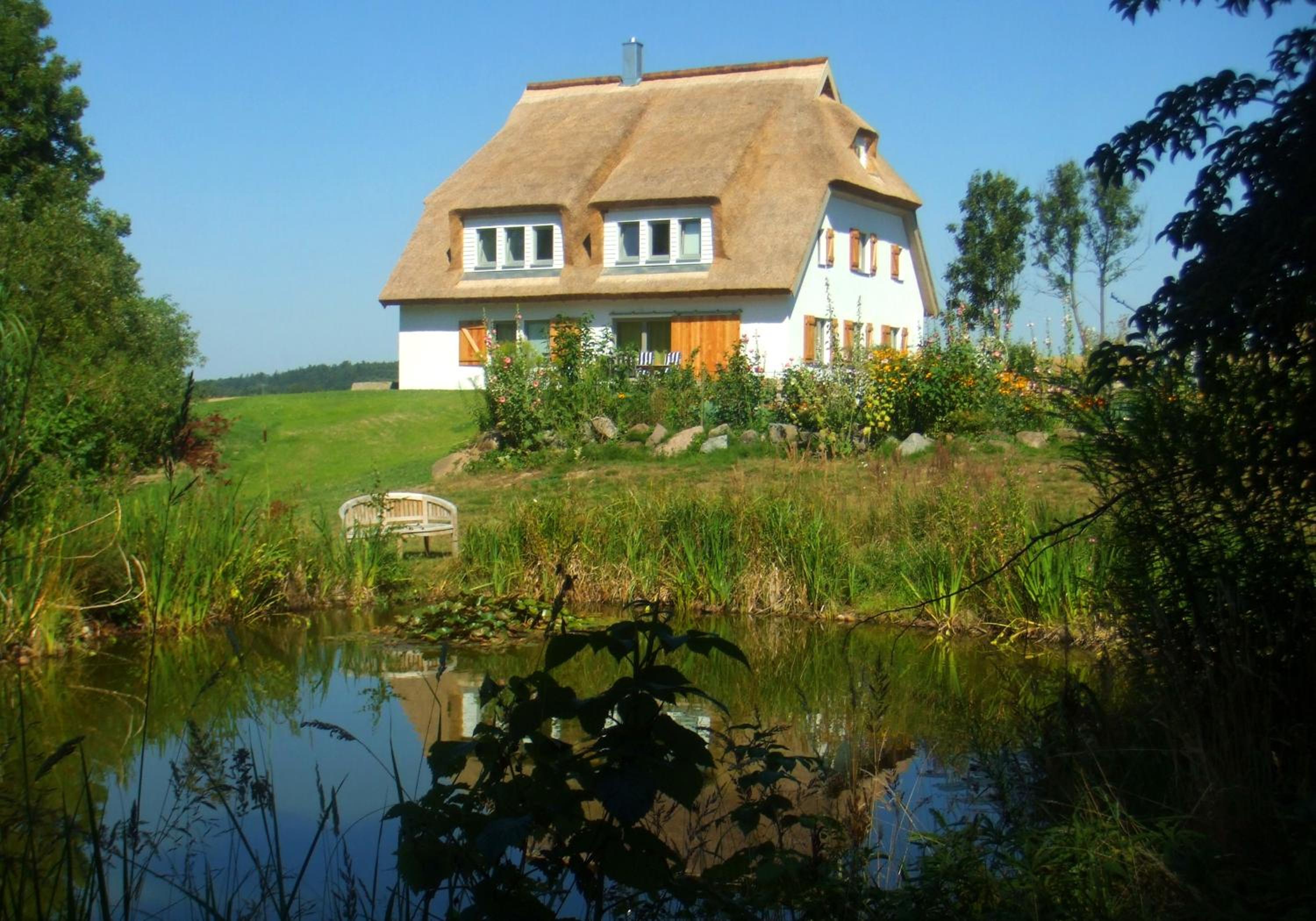 Photo 44