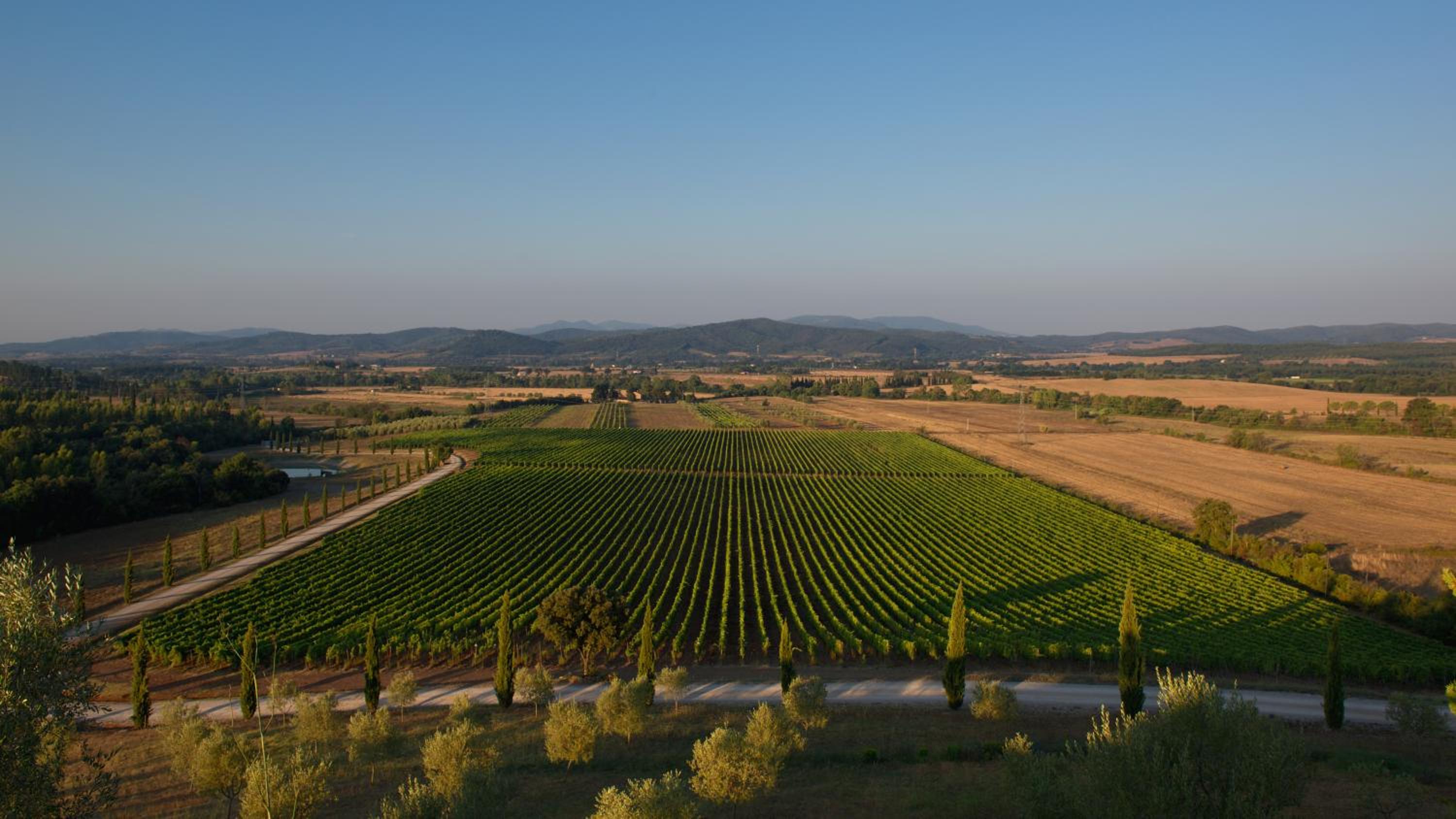 Wine Resort Conti di San Bonifacio