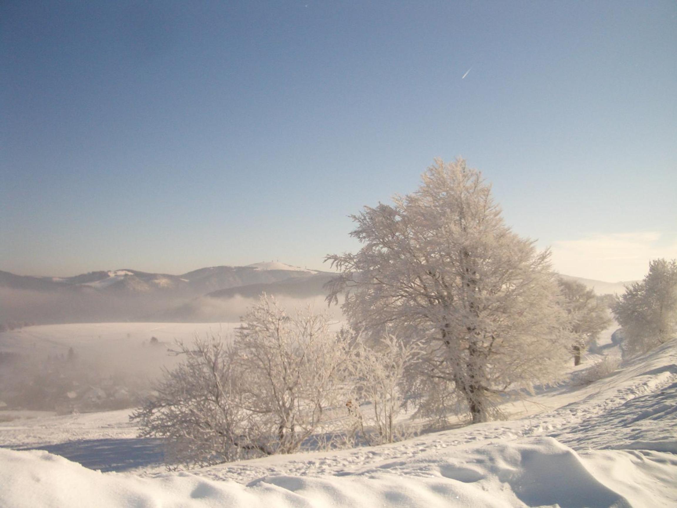 Gasthaus Sonne