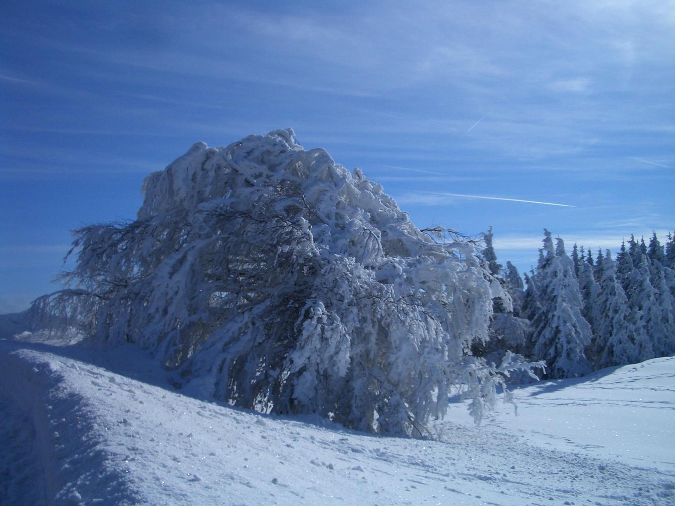 Gasthaus Sonne
