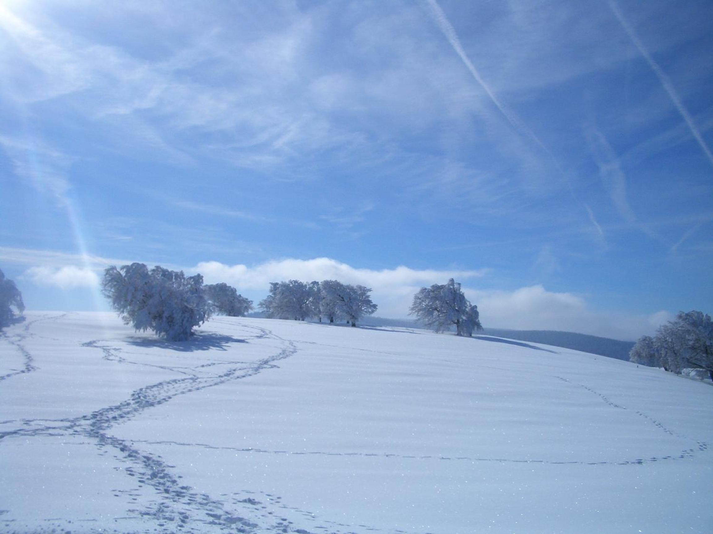 Gasthaus Sonne