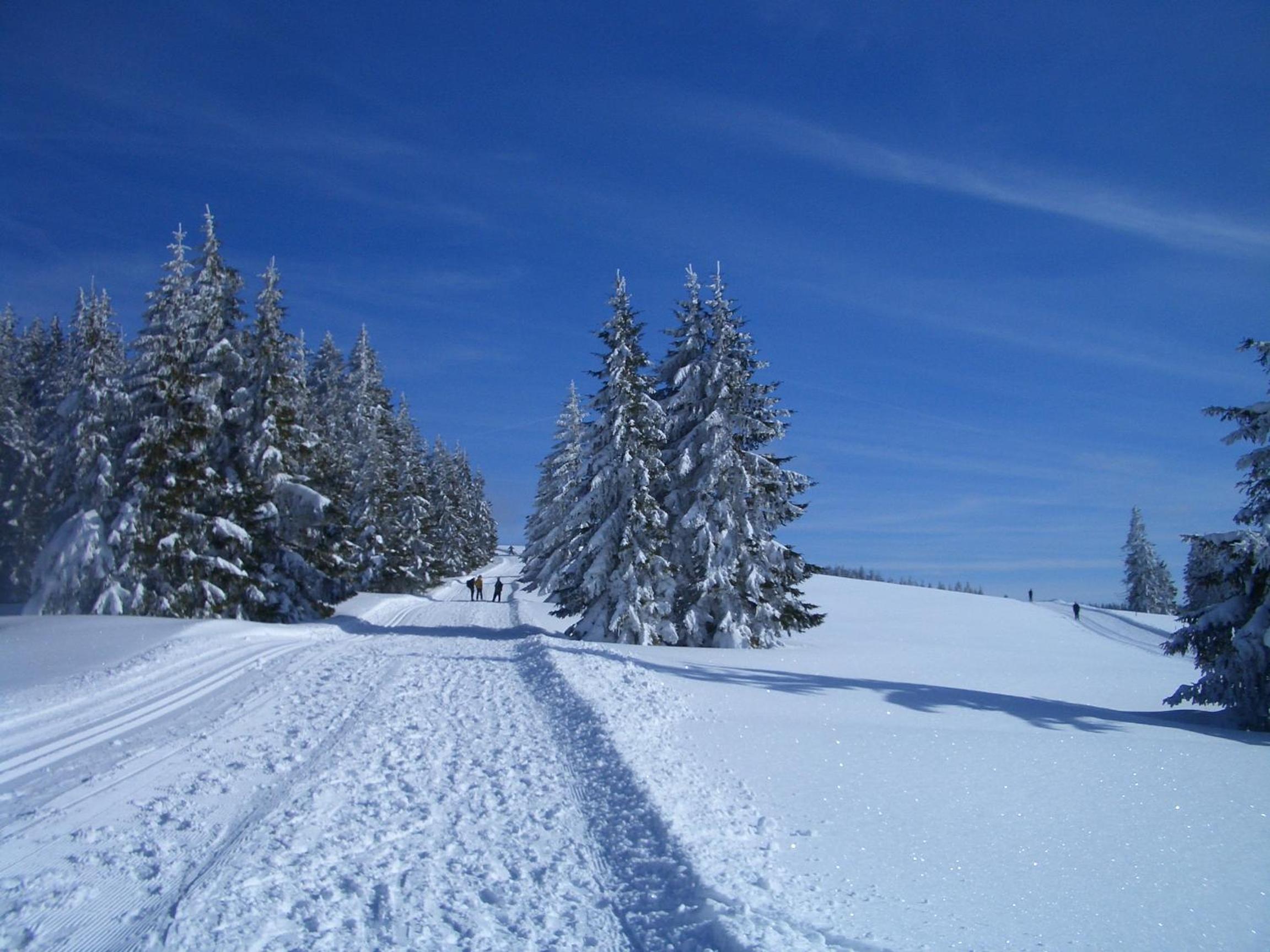 Gasthaus Sonne