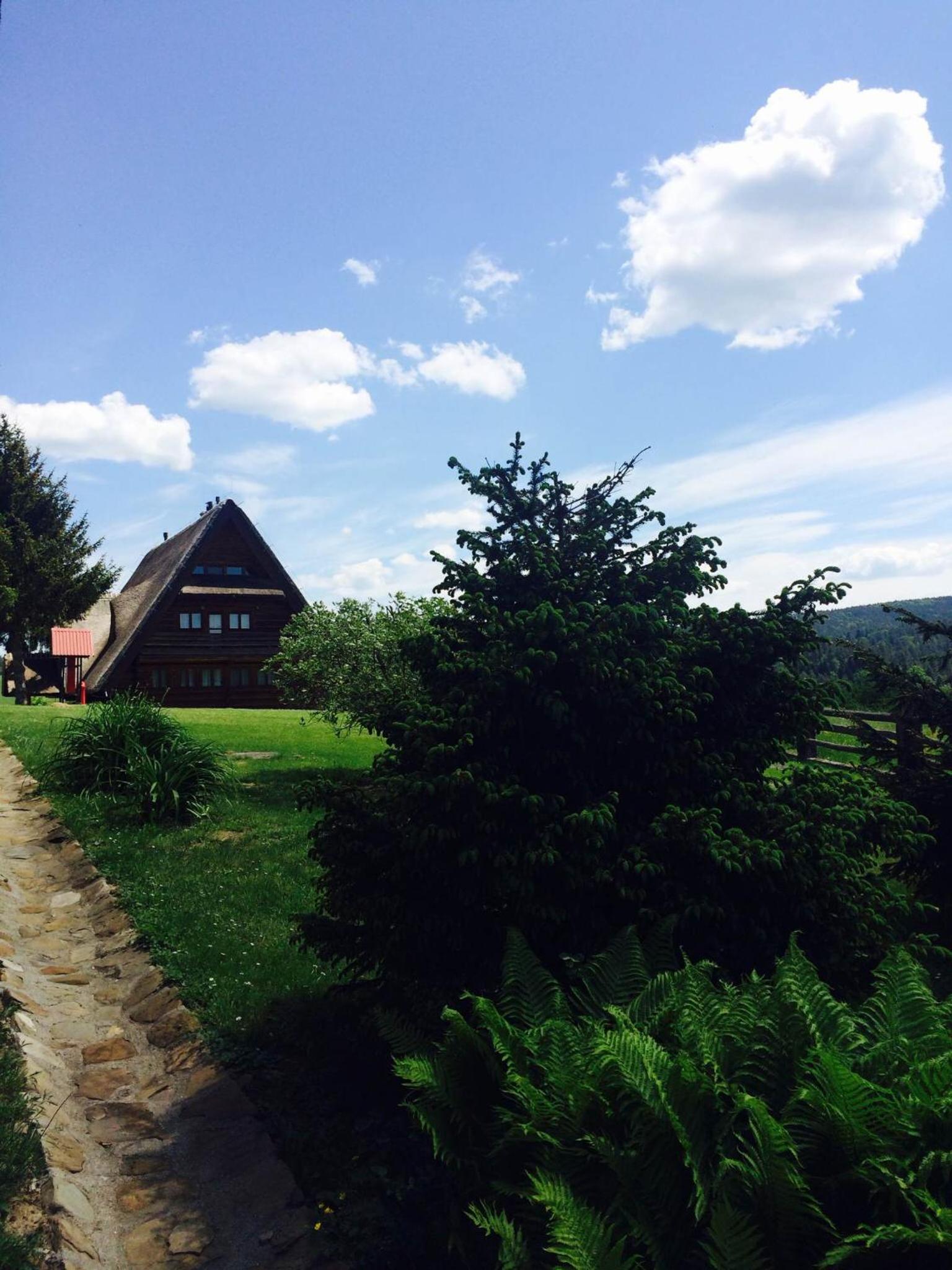 Photo 18