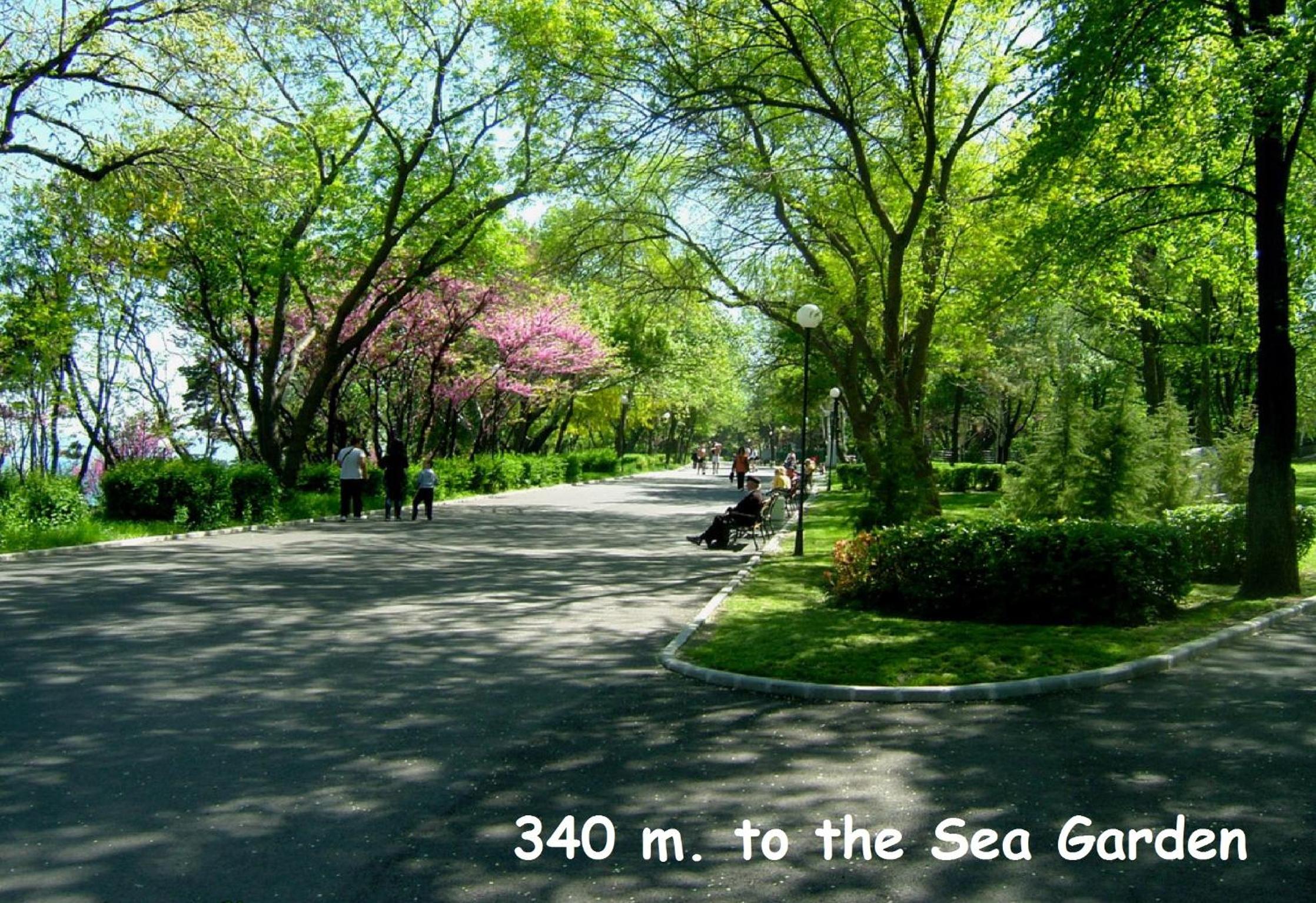 Photo 31