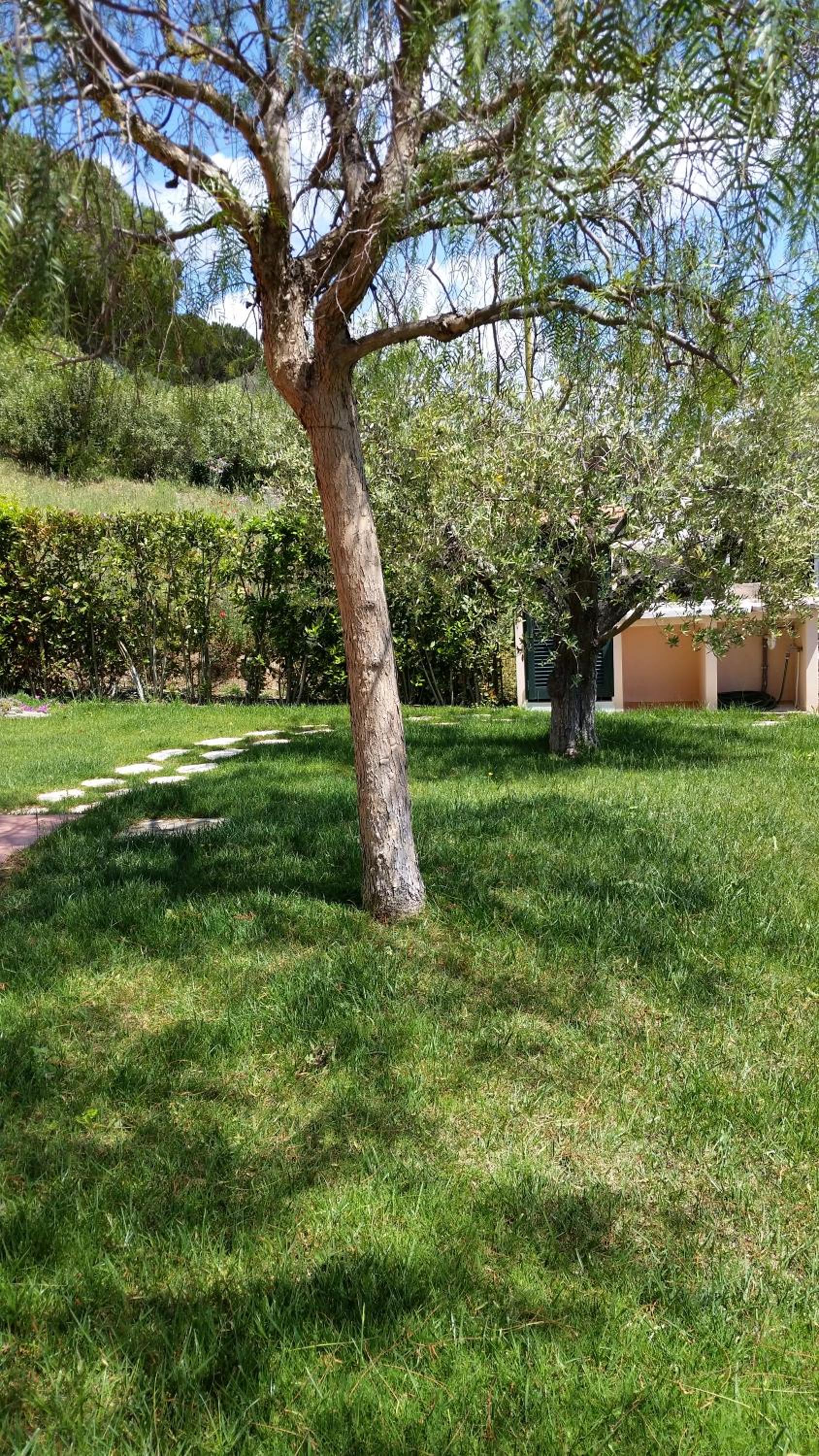 Photo 25