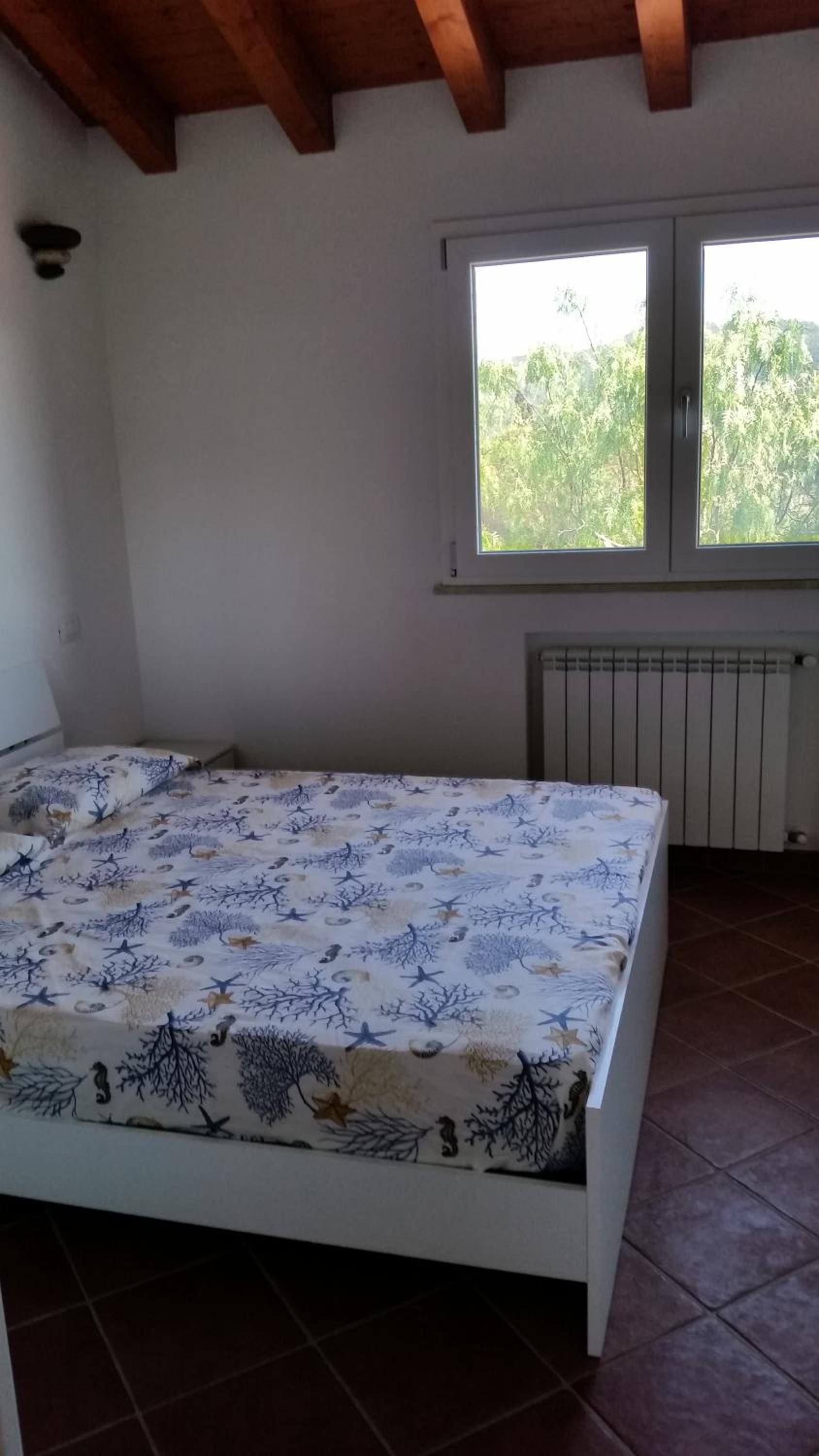 Photo 51