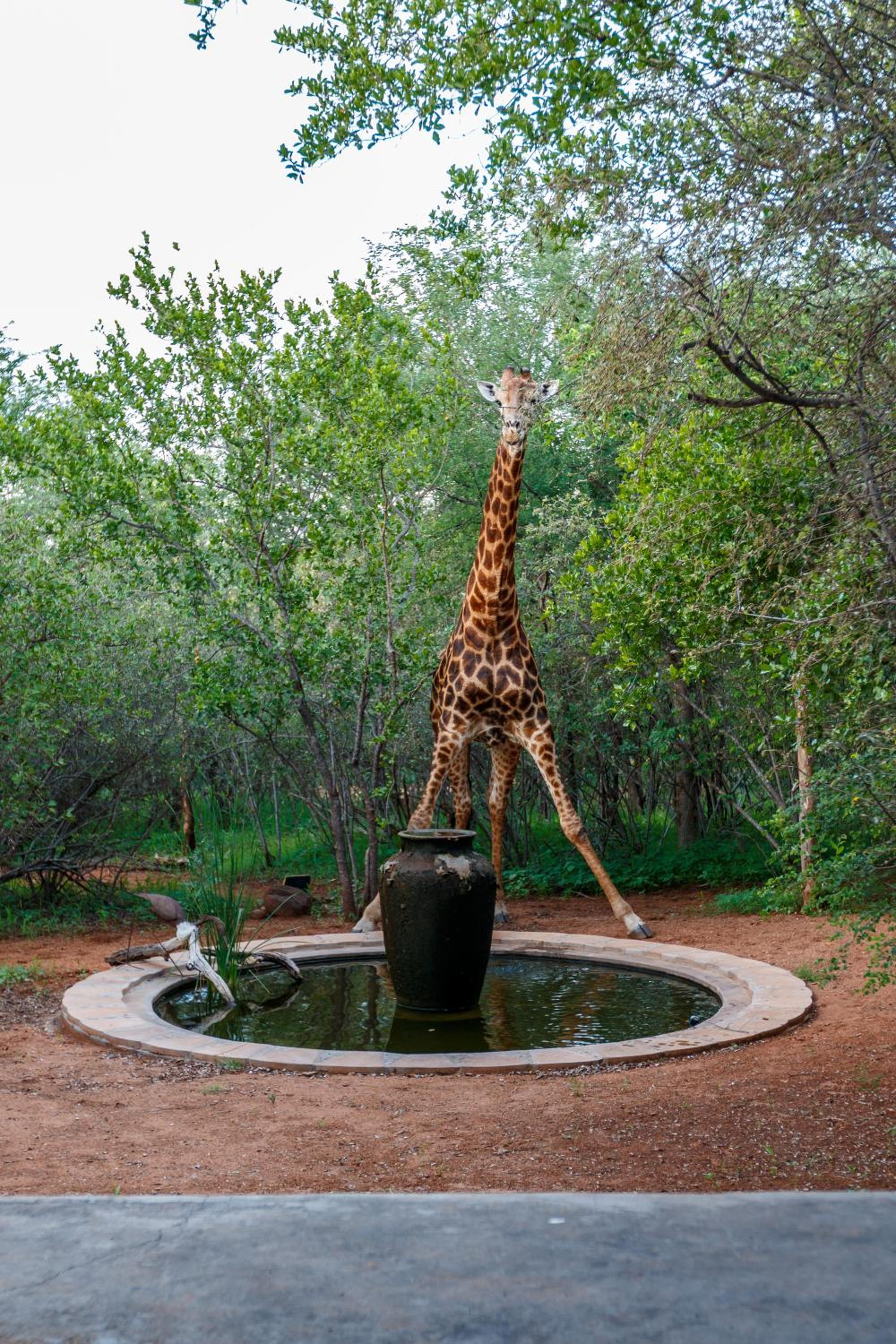 Shikwari Nature Reserve