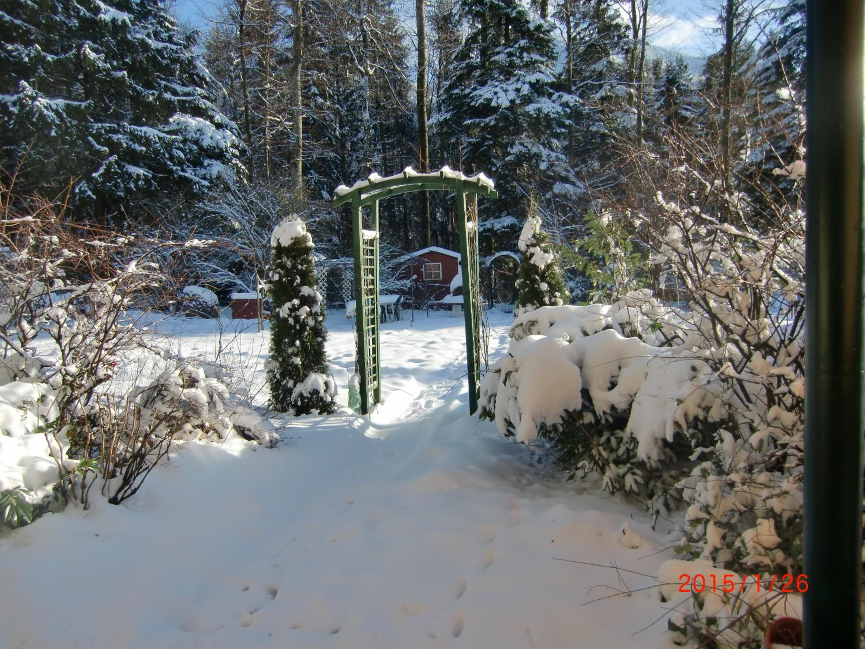 Photo 13