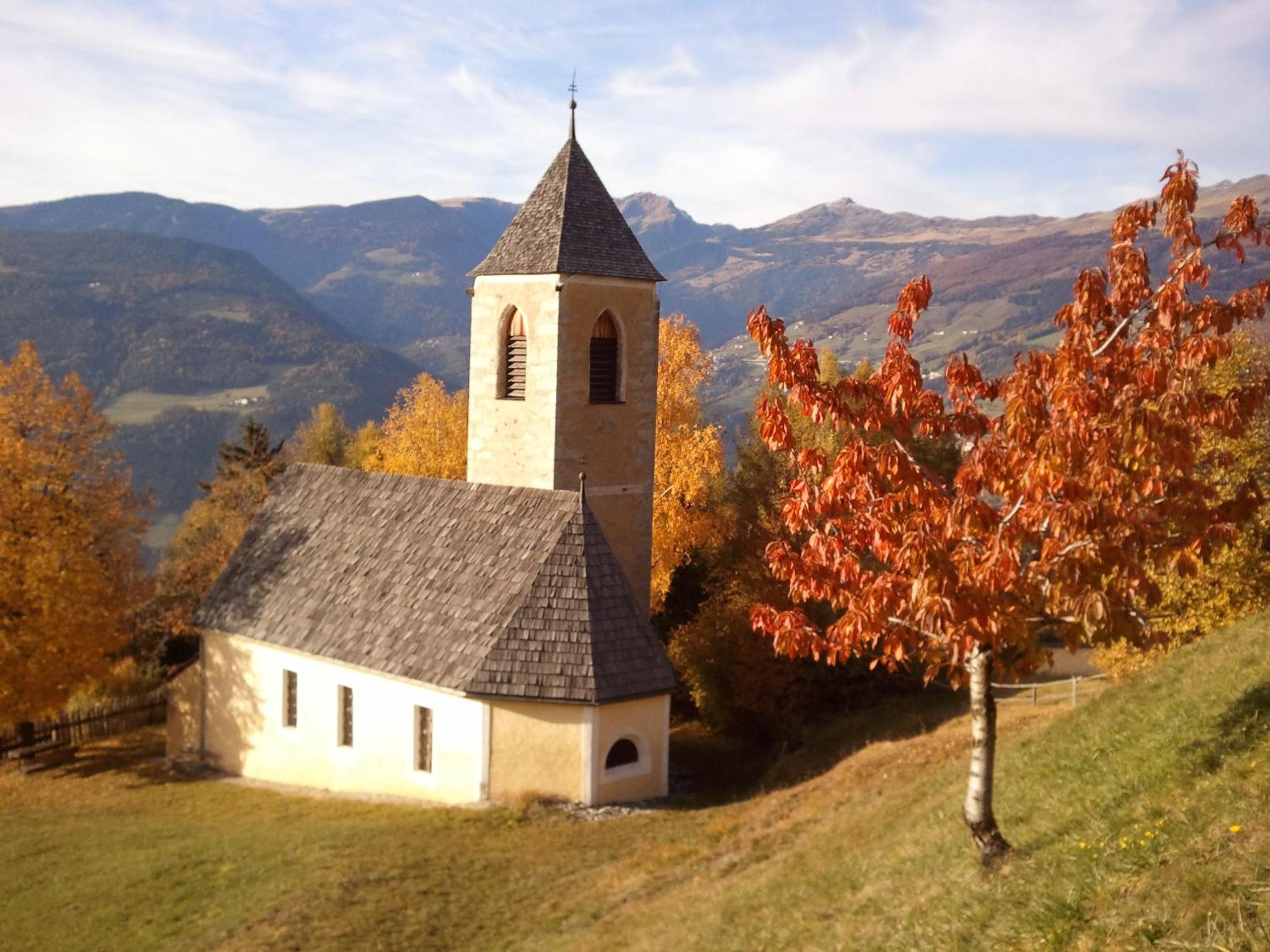 Photo 11