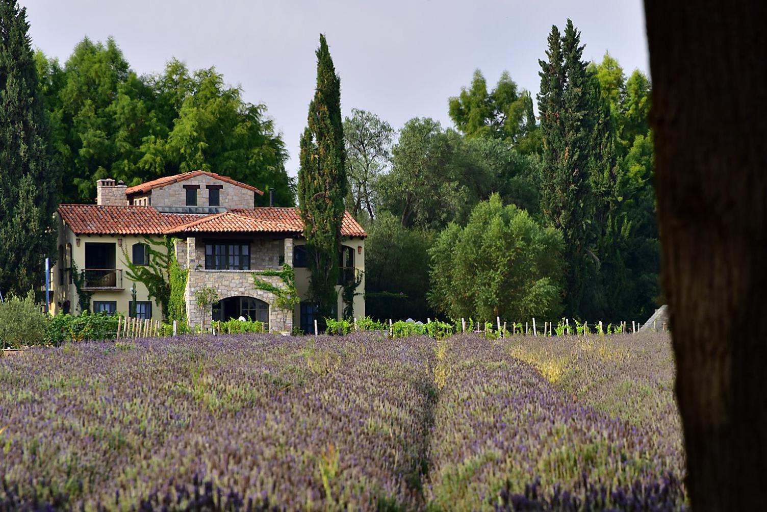 Hotel La Santísima Trinidad - Image 1
