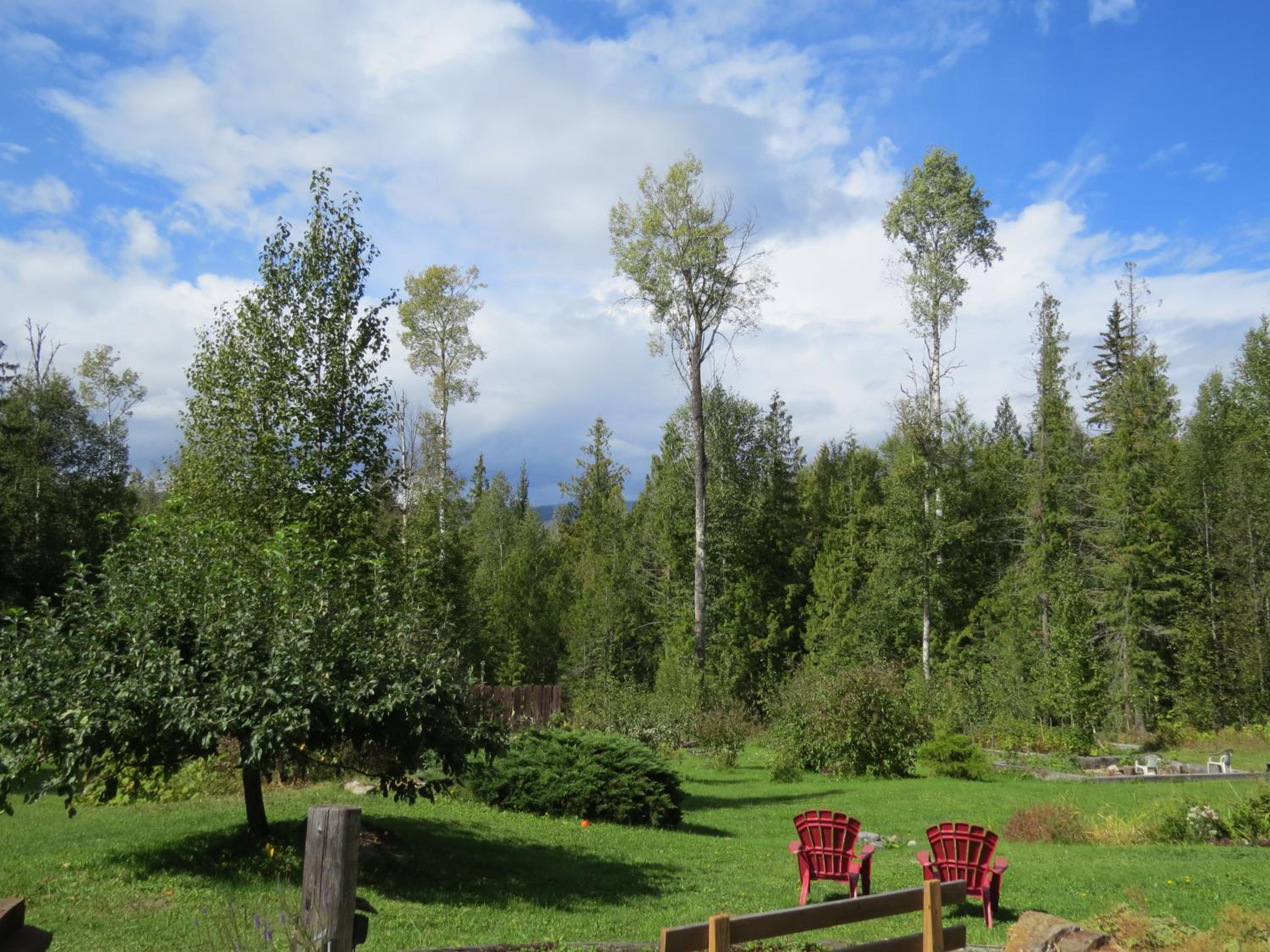 Cedar Haven Cabins and Resort