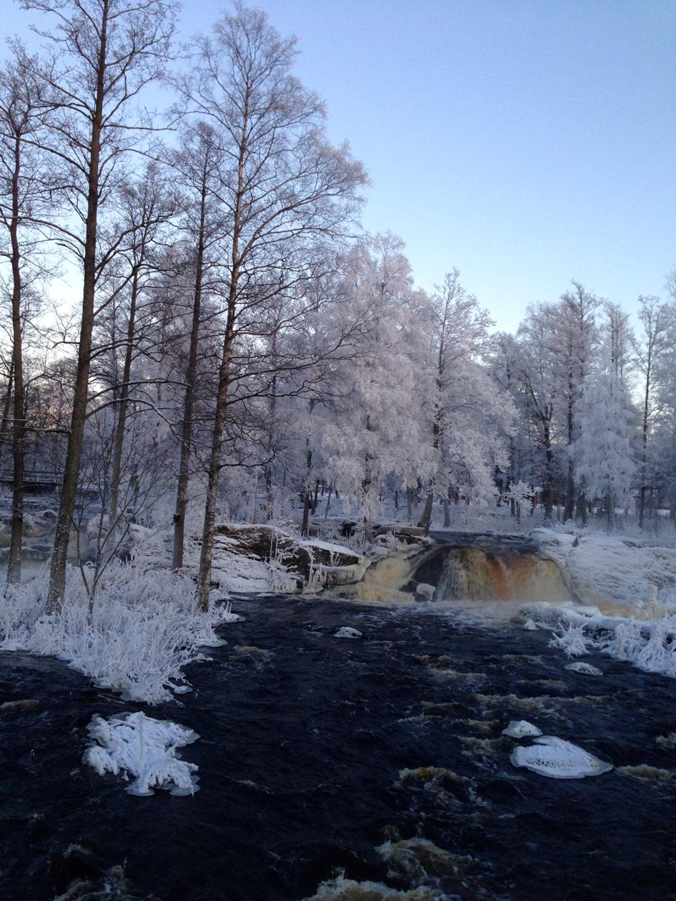 Photo 45