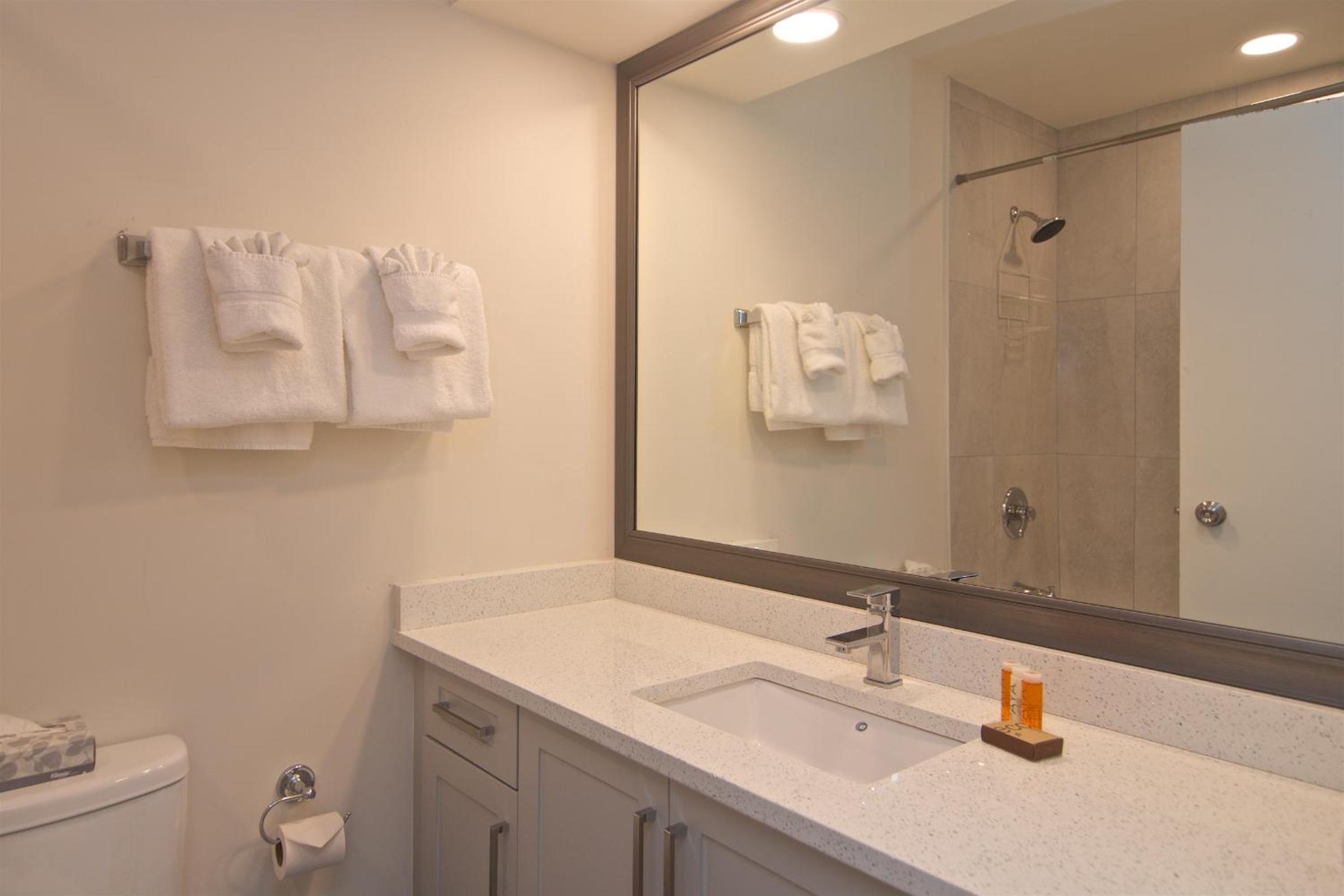 Whistler Blackcomb Vacation Rentals - Village North