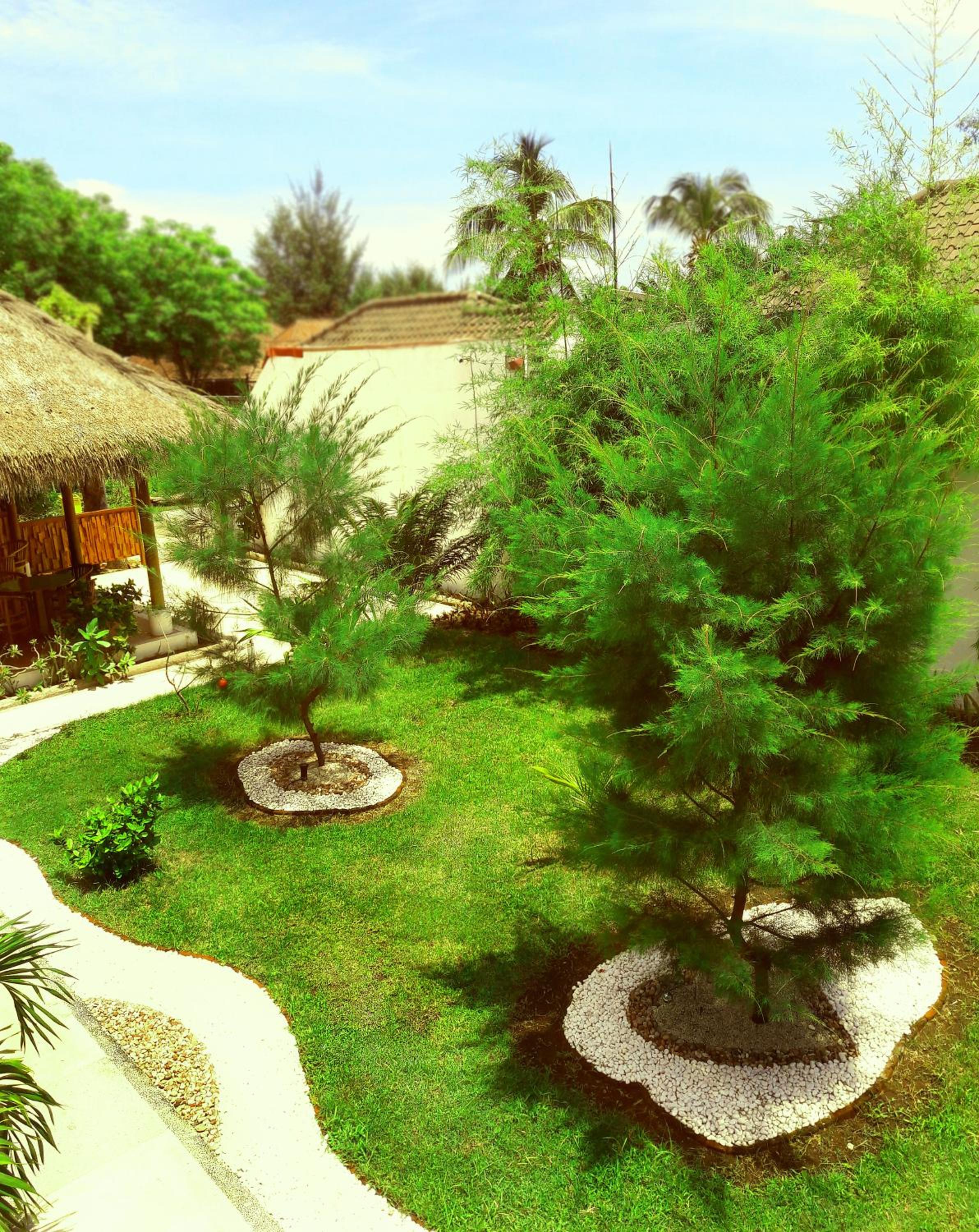 Photo 7