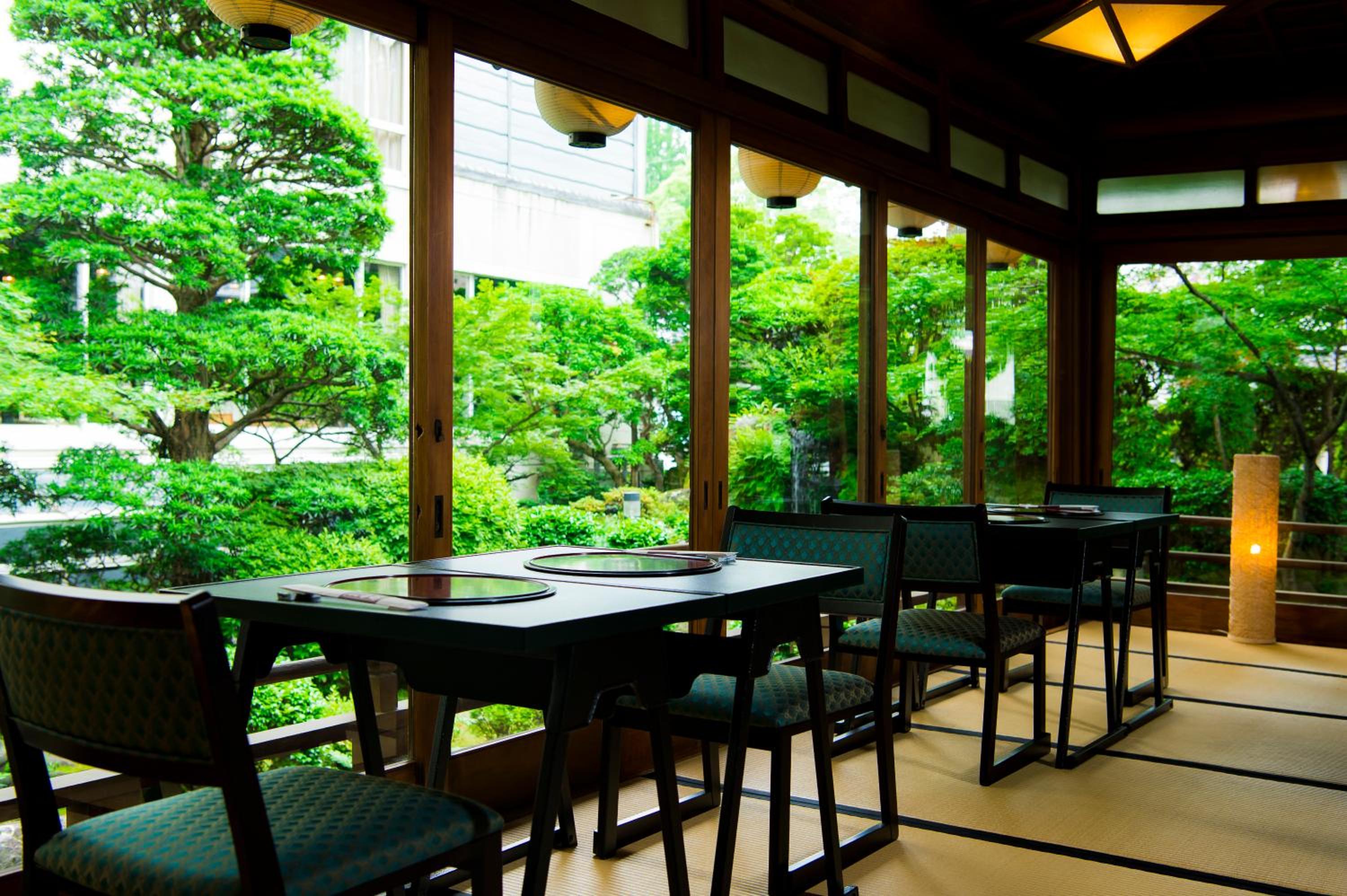 Shiragiku