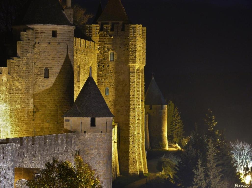 Carcassonne Vacations - L'Oree de la cite - Property Image 41